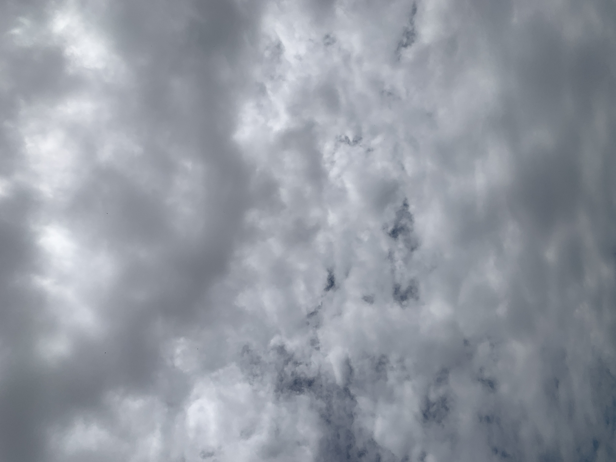 The image shows a cloudy sky above Duk, Nigeria. The clouds are dense and gray, with some lighter patches indicating breaks in the cloud cover. There are no visible people, subjects, objects, or actions depicted in the image, only the natural environment of the sky. The overall impression is one of an overcast or potentially rainy day.