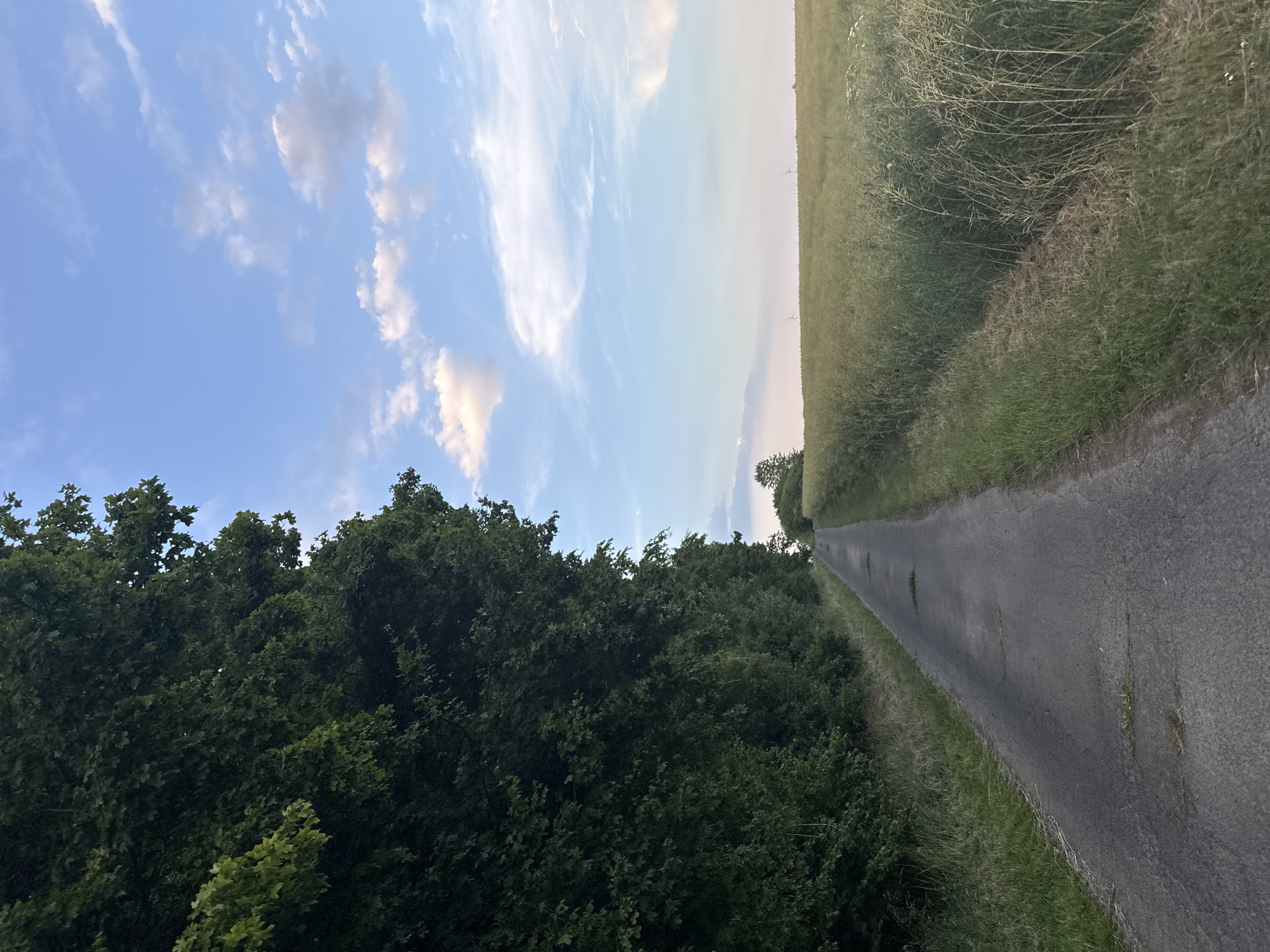 An asphalt road curves into the distance through a rural landscape. On the left, a dense wall of dark green foliage, likely trees and bushes, forms a natural border. To the right of the road, a field of tall, dry grasses and some flowering plants stretches towards the horizon, with a few small windmills visible in the far distance. The sky above is a soft blue, transitioning to a lighter hue near the horizon, with scattered white and grey clouds. The road itself shows signs of wear, with several patches of grass growing through cracks and divots. The overall impression is one of a quiet, natural setting in the countryside. The image appears to be taken in Beltershain, Germany, given the context provided.