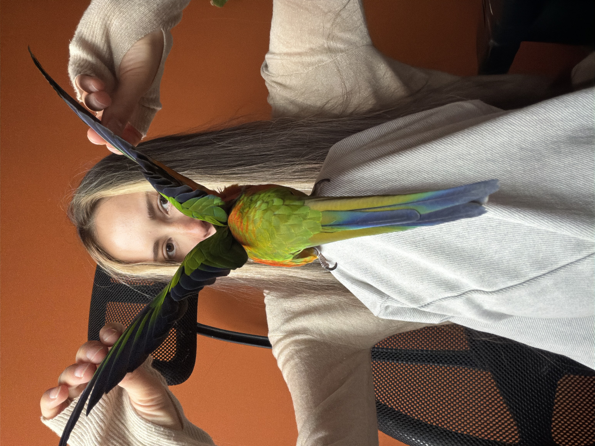 A person with long, light brown hair is holding a colorful parrot. The parrot has green, red, and blue feathers. The person is wearing a cream-colored sweater with thumbholes. The background is an orange wall. The image is likely taken indoors, as indicated by the indoor lighting and the chair visible in the lower portion of the image, which appears to be an office chair. The overall tone of the image is warm and personal, suggesting a close bond between the person and the parrot. There is no visible text in the image.