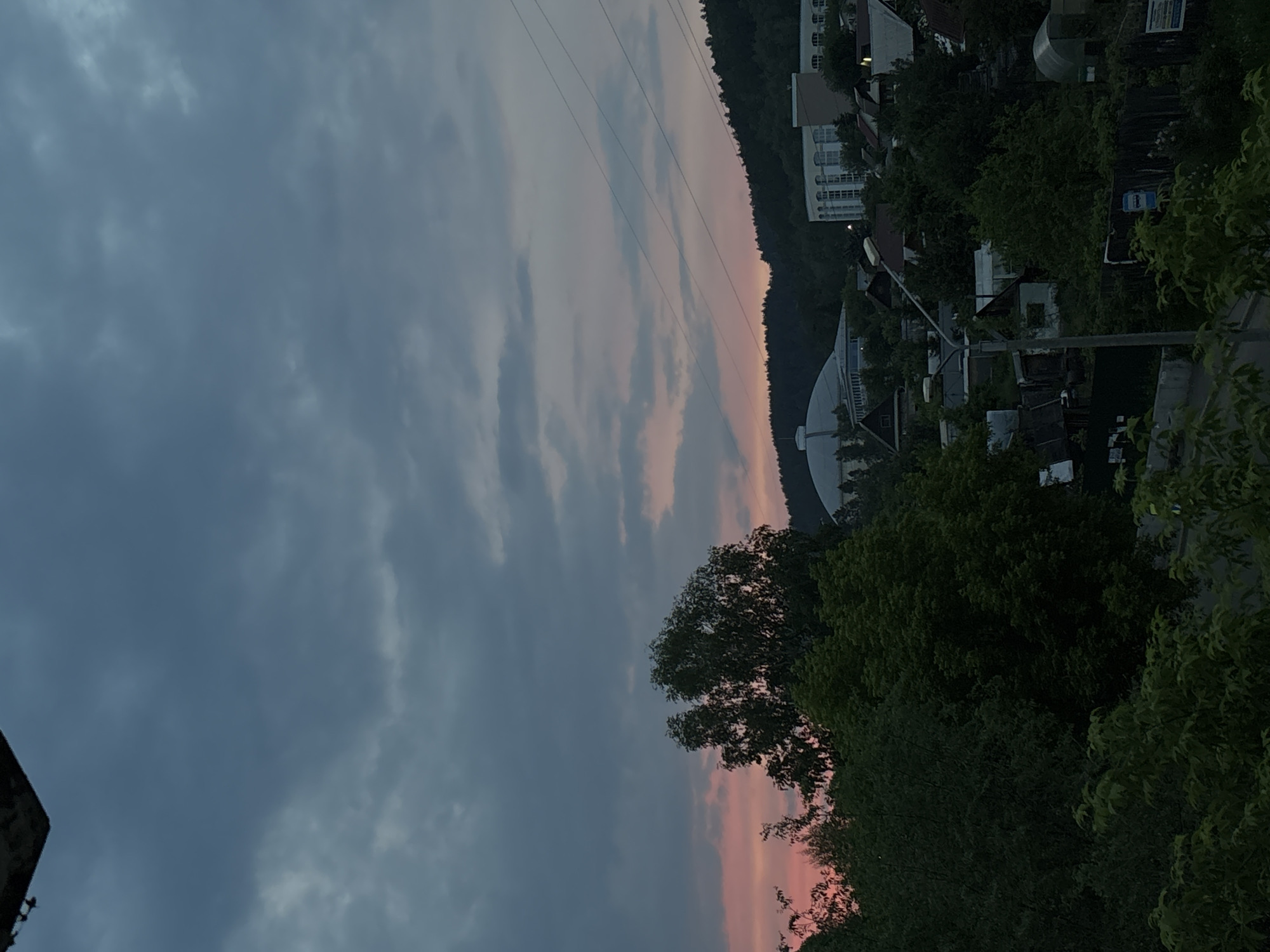 The image depicts a twilight view of the city of Zheleznogorsk, Russia, looking towards the east. The sky is filled with dramatic clouds, tinged with pink and orange hues from the setting sun. In the foreground, dense green trees dominate the scene, obscuring much of the lower part of the image. Beyond the trees, a residential area with houses and buildings is visible, nestled on a hillside. A large, modern dome-shaped structure, likely an arena or sports complex, is prominent in the mid-ground, along with a multi-story building. Power lines stretch across the sky. The overall atmosphere is serene and captures the transitional light of dusk. There are no people or animals visible in the frame.