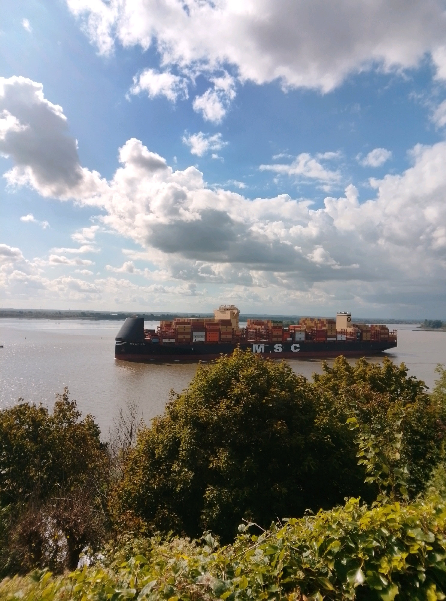 A large container ship with "MSC" emblazoned on its hull is sailing on a wide river under a cloudy blue sky. The ship is laden with stacked containers, some red and some yellow, and appears to be moving from left to right in the frame. The foreground is dominated by lush green trees and foliage, suggesting an elevated viewpoint overlooking the river. In the distance, the horizon shows a faint outline of land and possibly industrial structures, characteristic of Hamburg's port area. The water is calm and reflects the sky.