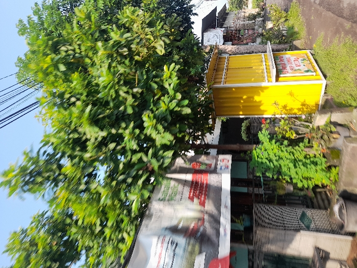 The image shows a small yellow building with a white trim, located on a street in Mojosari, Indonesia. The building has a sign on it, but it is partially obscured by the foliage of a large tree in the foreground. The tree is in full bloom, and its leaves are a vibrant green. Behind the building, there is a large, dark grey building with a white trim. The street is paved with concrete, and there is a grey concrete curb on the right side of the image. There is also a black and grey object in the bottom right corner of the image. There is no one present in the image. The location is approximately at latitude: -7.505, longitude: 112.561. The image has a slightly blurry aspect.
