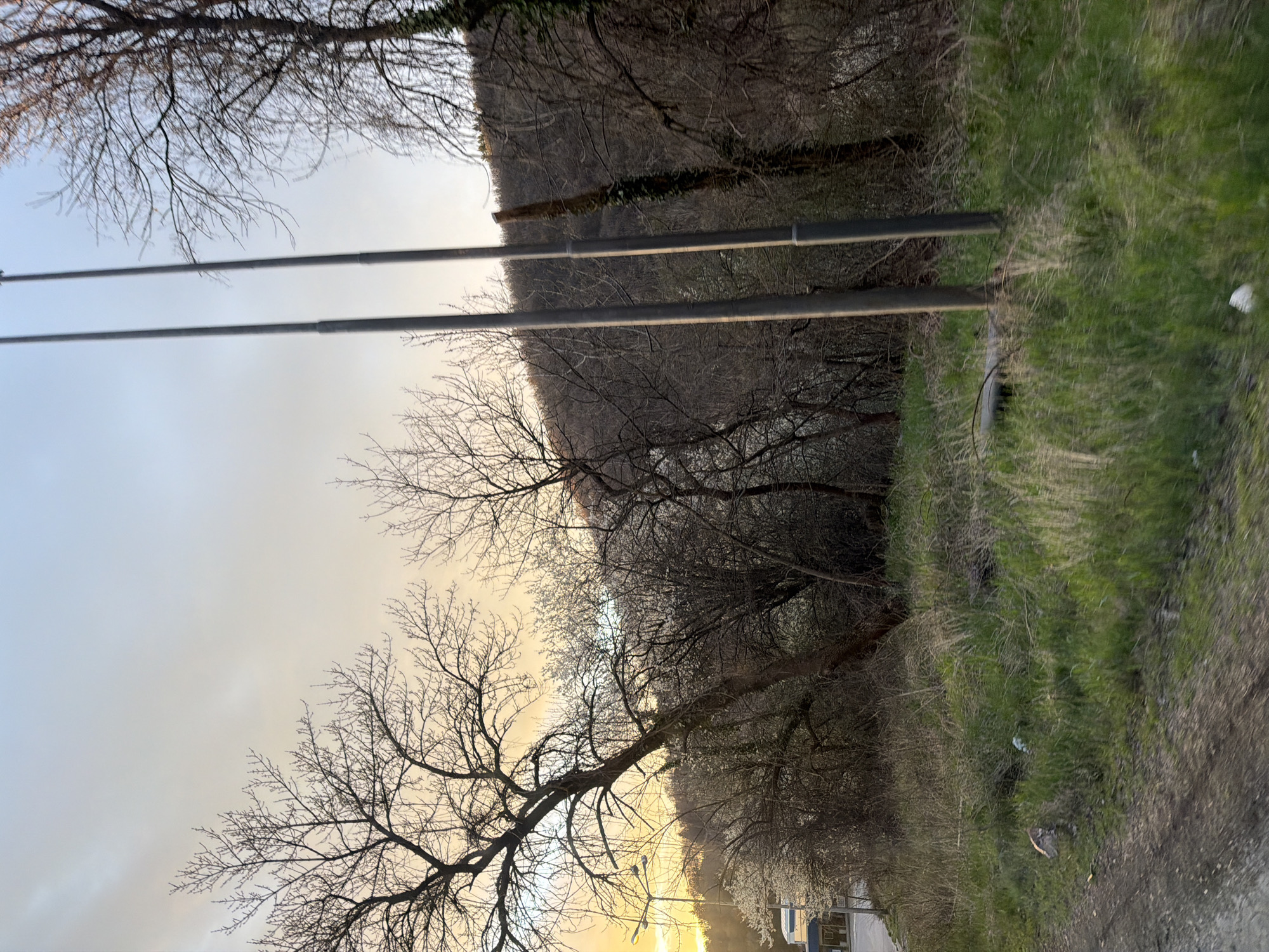 The image shows a road in Sofia, Bulgaria, bordered by trees and grassy areas. Two parallel utility lines run across the upper portion of the frame. The trees are bare of leaves, suggesting it is winter or early spring. The sky is overcast, with a hint of light towards the horizon. A building is visible in the distance.