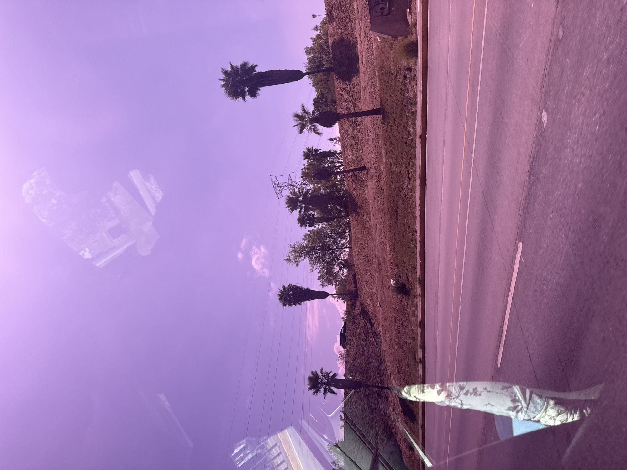 A roadside view in San Bernardino Tlaxcalancingo, Mexico, from inside a vehicle. A multi-lane highway runs parallel to a landscaped embankment populated with palm trees and other vegetation. Overhead power lines are visible. Reflections obscure the lower left portion of the image. The sky is overcast with a purple hue.