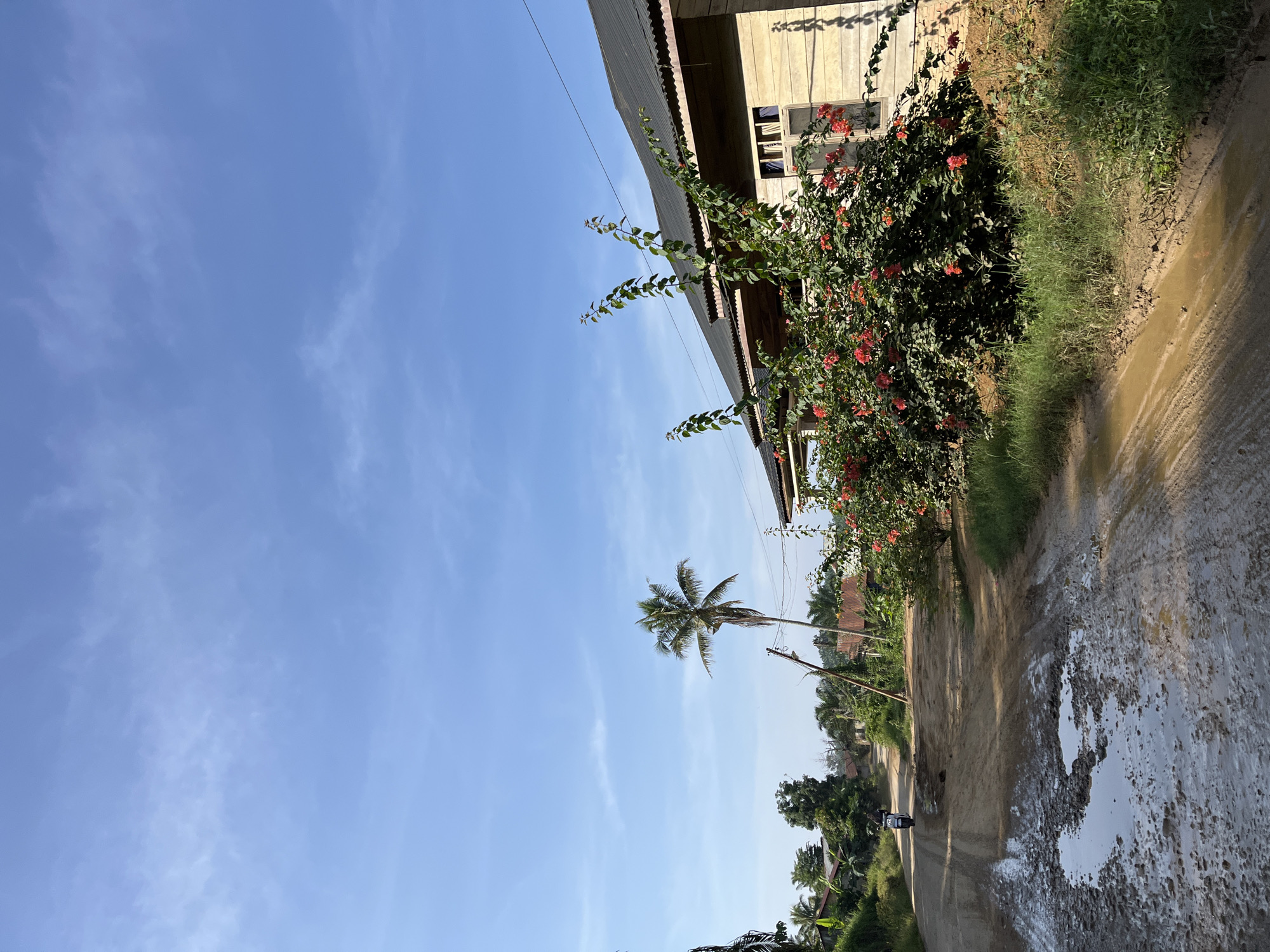 This is a photograph taken in Durian, Indonesia, featuring a rural scene with a dirt road in the foreground and a house on the right. The road is muddy and has several puddles, indicating recent rain. A person on a white scooter is traveling down the road away from the viewer. To the right of the road is a wooden house with a dark corrugated roof and several windows. In front of the house, a vibrant bougainvillea bush with red flowers is in bloom. Further down the road, palm trees and other vegetation are visible, along with more houses and structures suggesting a small village. The sky is a clear blue with some wispy white clouds. The overall impression is of a sunny day in a tropical rural setting.