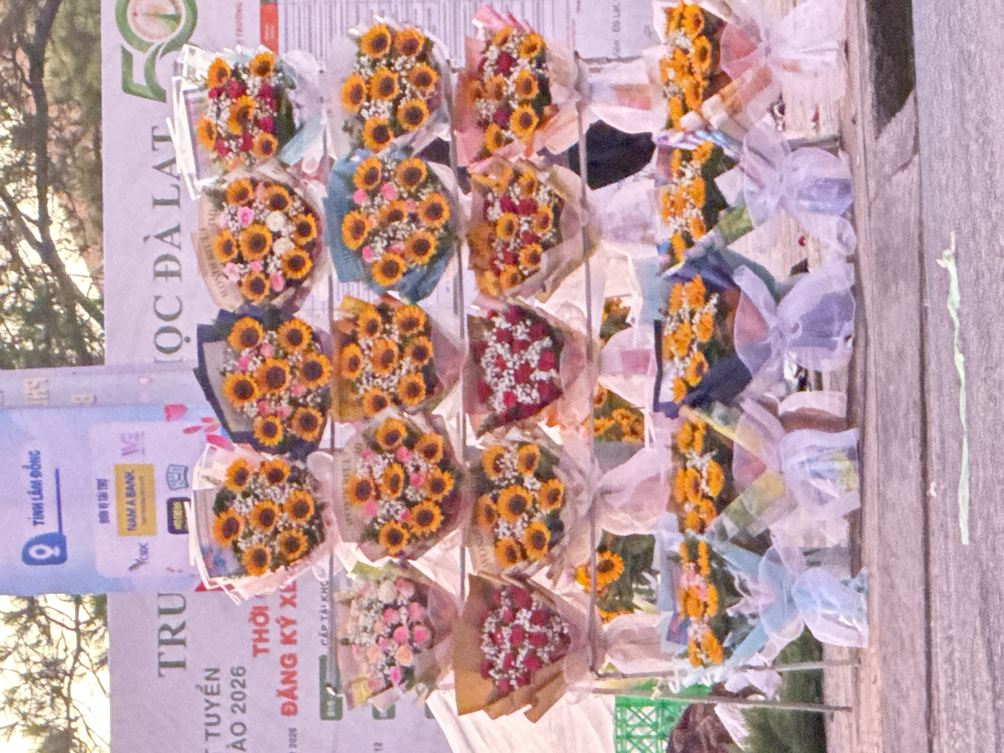The image shows a street stall in Da Lat, Vietnam, displaying numerous bouquets of flowers. The flowers appear to be primarily sunflowers and roses, arranged in bouquets wrapped in brown paper and adorned with ribbons. The bouquets are displayed on tiered metal racks, suggesting a commercial setting. In the background, a large banner with Vietnamese text is visible, including the words "TRƯỜNG" and "TUYỂN SINH NĂM 2026", indicating an educational institution's enrollment campaign. Another part of the banner reads "TỔNG CÔNG TY DU LỊCH LÂM ĐỒNG", identifying a tourism company. There are no people clearly visible in the foreground. The environment suggests an outdoor setting, possibly a street or a public square, with a paved ground and some foliage in the upper left corner. The overall impression is a vibrant scene of flower sales, likely during a promotional event or festival in Da Lat.