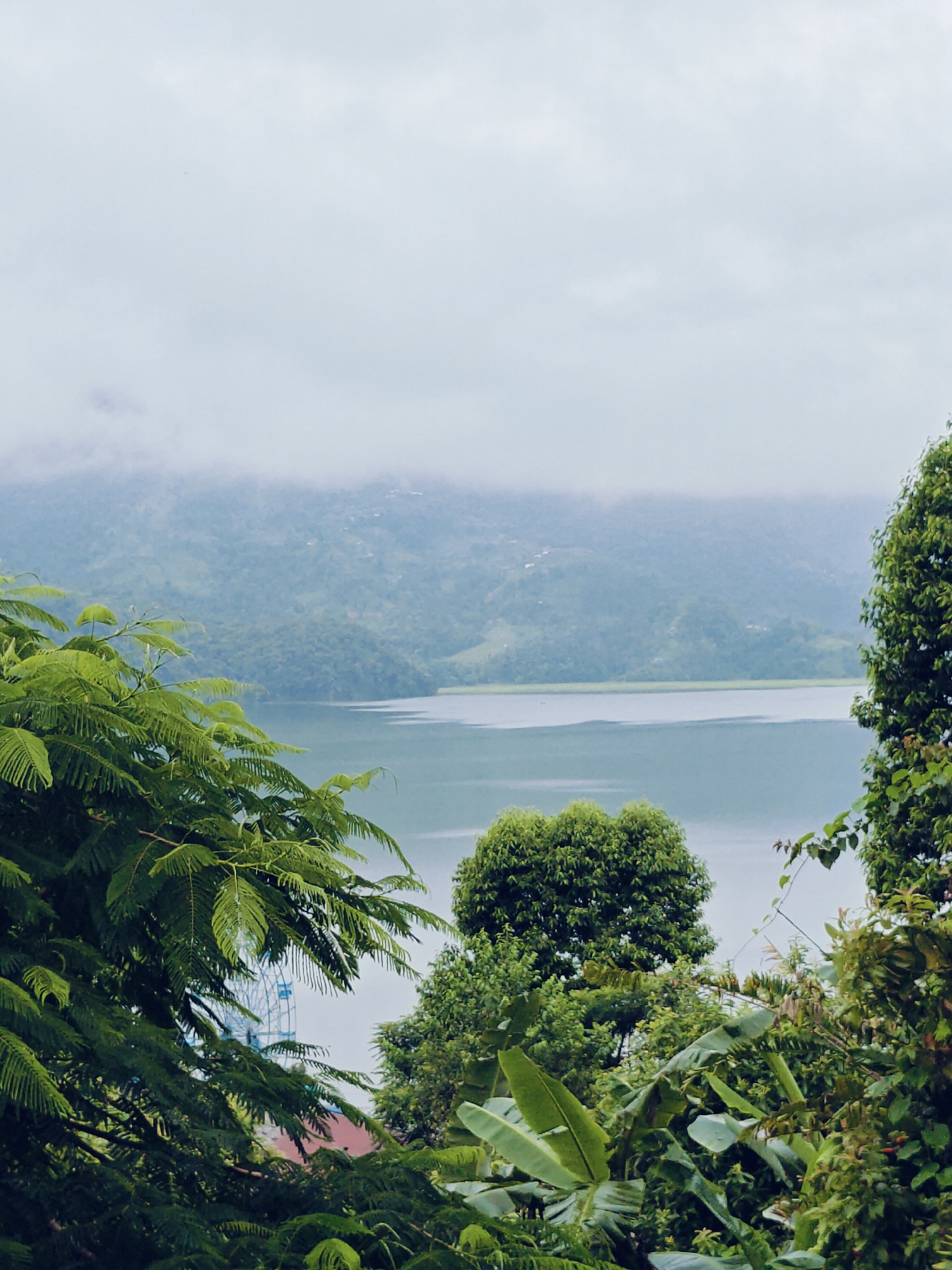 This image shows a panoramic view of Phewa Lake in Pokhara, Nepal, on an overcast day. Lush green trees and foliage fill the foreground, framing the serene lake and the misty mountains in the distance. On the left side of the image, partially obscured by leaves, a Ferris wheel can be seen, suggesting the presence of a nearby amusement area or park. The water of the lake is calm, reflecting the muted light of the sky. The overall scene conveys a sense of tranquility and natural beauty, characteristic of the Pokhara valley.
