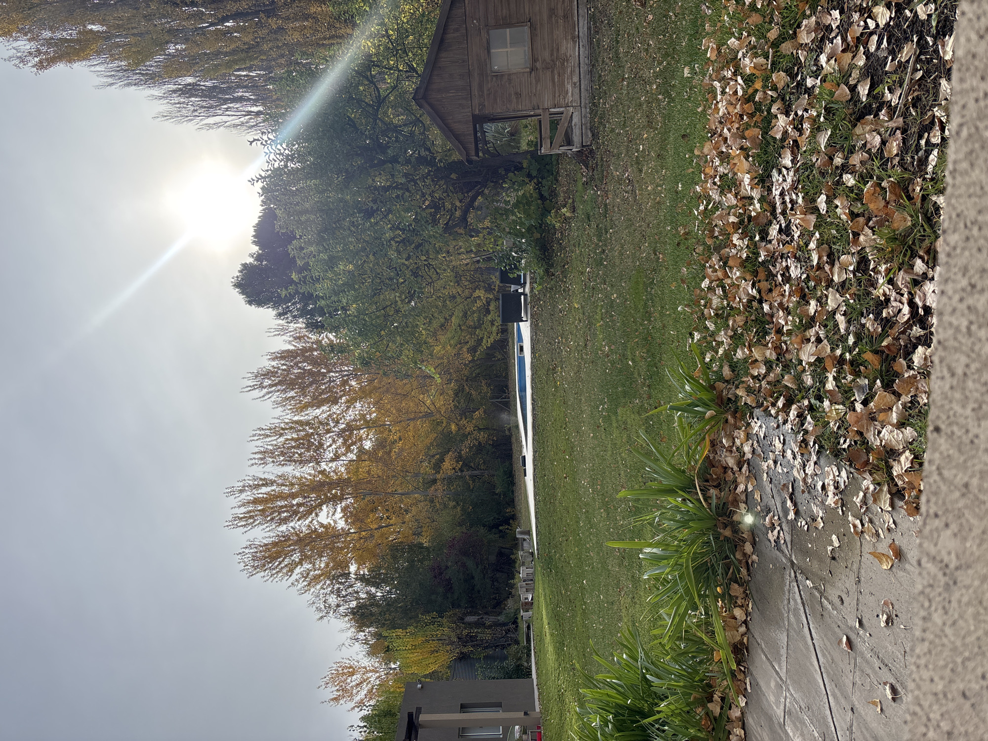 The image depicts a residential backyard, likely in Trelew, Argentina based on the possible geographical location. A rectangular swimming pool is centered, with a few lounge chairs nearby. Mature trees, some with yellowing leaves indicating autumn, surround the pool area. A small wooden playhouse is visible on the right side of the pool. The sun is bright in the sky, with rays extending downward. A portion of a building, likely the house, is visible in the bottom left corner. The foreground consists of a concrete patio area with fallen leaves and some green plants.
