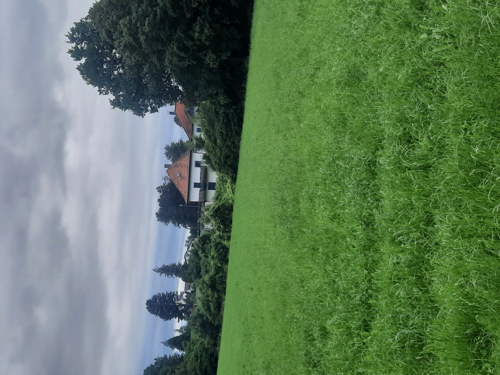 This is a vertical, medium-shot, eye-level, outdoor photograph taken on a cloudy day in Unknown, Unknown. In the foreground, a large, vibrant green field of tall grass extends to the horizon. Behind the field, a line of lush green trees and bushes forms a dense barrier. Nestled within the trees are several houses with red-tiled roofs and white or light-colored walls, some with dark windows. To the right of the houses, a very large, dark green tree dominates the scene, its branches reaching towards the overcast sky. The sky itself is filled with heavy, gray clouds, suggesting a potential for rain.