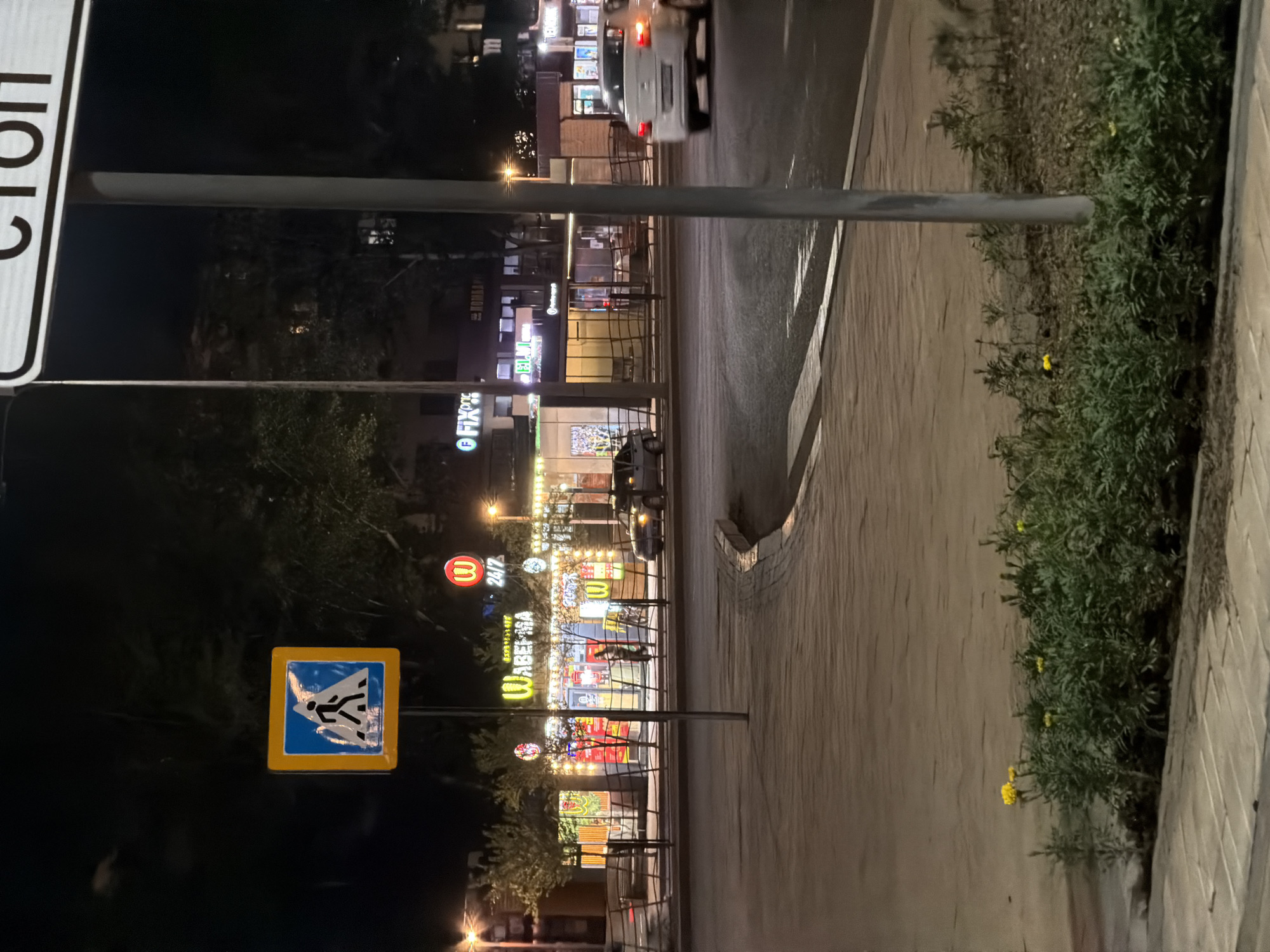 The image depicts a night scene on a city street, likely in Astana, Kazakhstan, given the presence of a "СТОП" (STOP) sign in Russian. A pedestrian crossing sign is prominently displayed on the left, indicating a crosswalk. In the background, illuminated storefronts line the street, featuring businesses with prominent signage, including what appears to be a "W" logo associated with a 24/7 establishment. Several cars are visible on the road; one is moving in the foreground, and another is parked or moving slowly in the middle ground. A pedestrian is walking on the sidewalk in front of the illuminated buildings. The environment includes paved sidewalks, a road, trees, and streetlights, creating a typical urban night setting. The foreground features a planter box with small yellow flowers and green foliage.