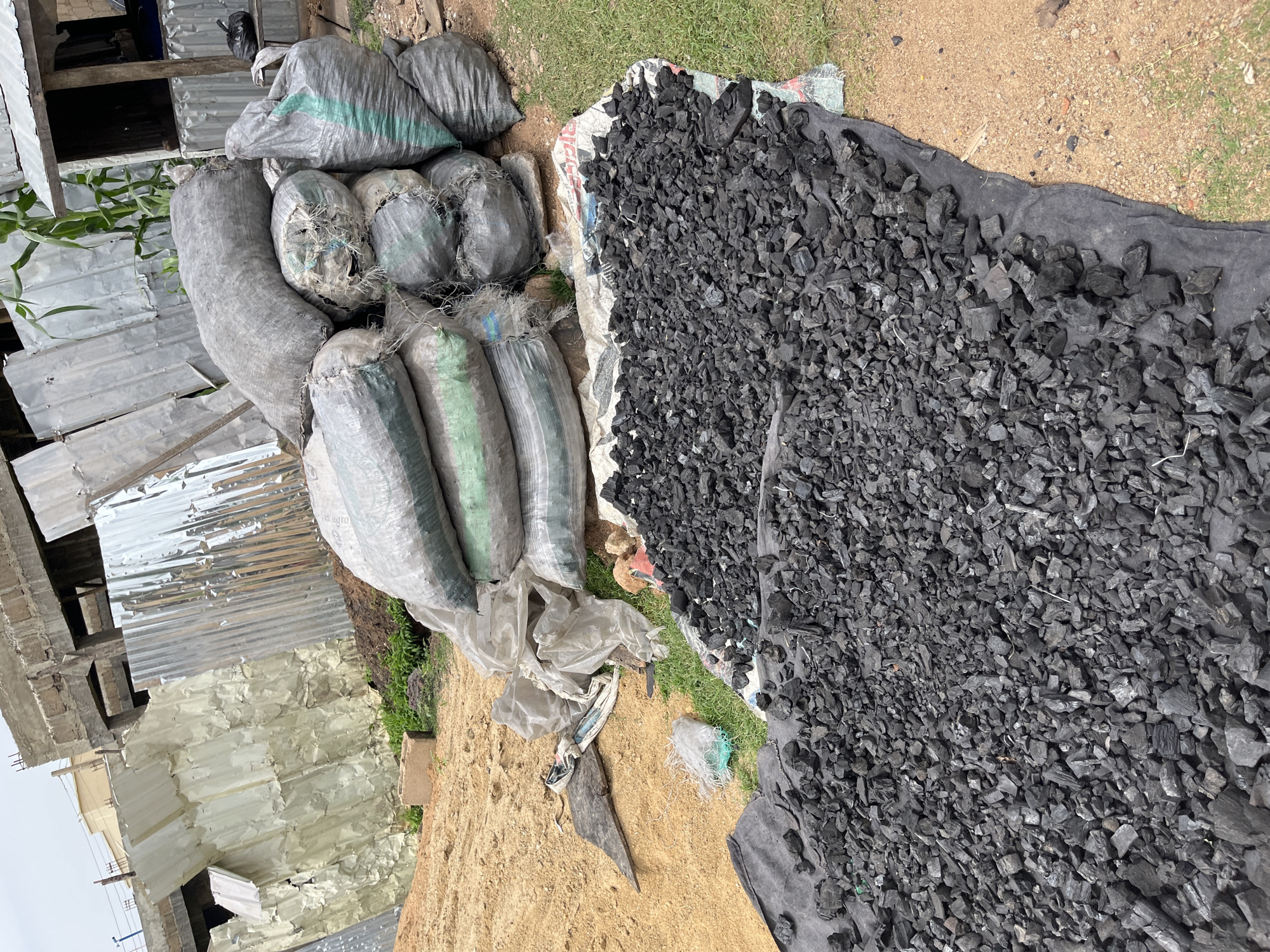 In Barakin Akawo, Nigeria, a scene unfolds with several large, grey sacks filled with what appears to be charcoal, stacked on top of each other. These sacks are positioned on a patch of dry, brown earth and grass. In the foreground, a significant amount of loose charcoal pieces is spread out on a dark fabric mat, with more loose charcoal continuing onto the sandy ground to the left. Behind the charcoal sacks, a corrugated metal fence stands, with a partially constructed concrete building visible beyond it. The environment suggests an outdoor, possibly commercial or storage area, with building materials and agricultural products present. There are no people visible in the image.