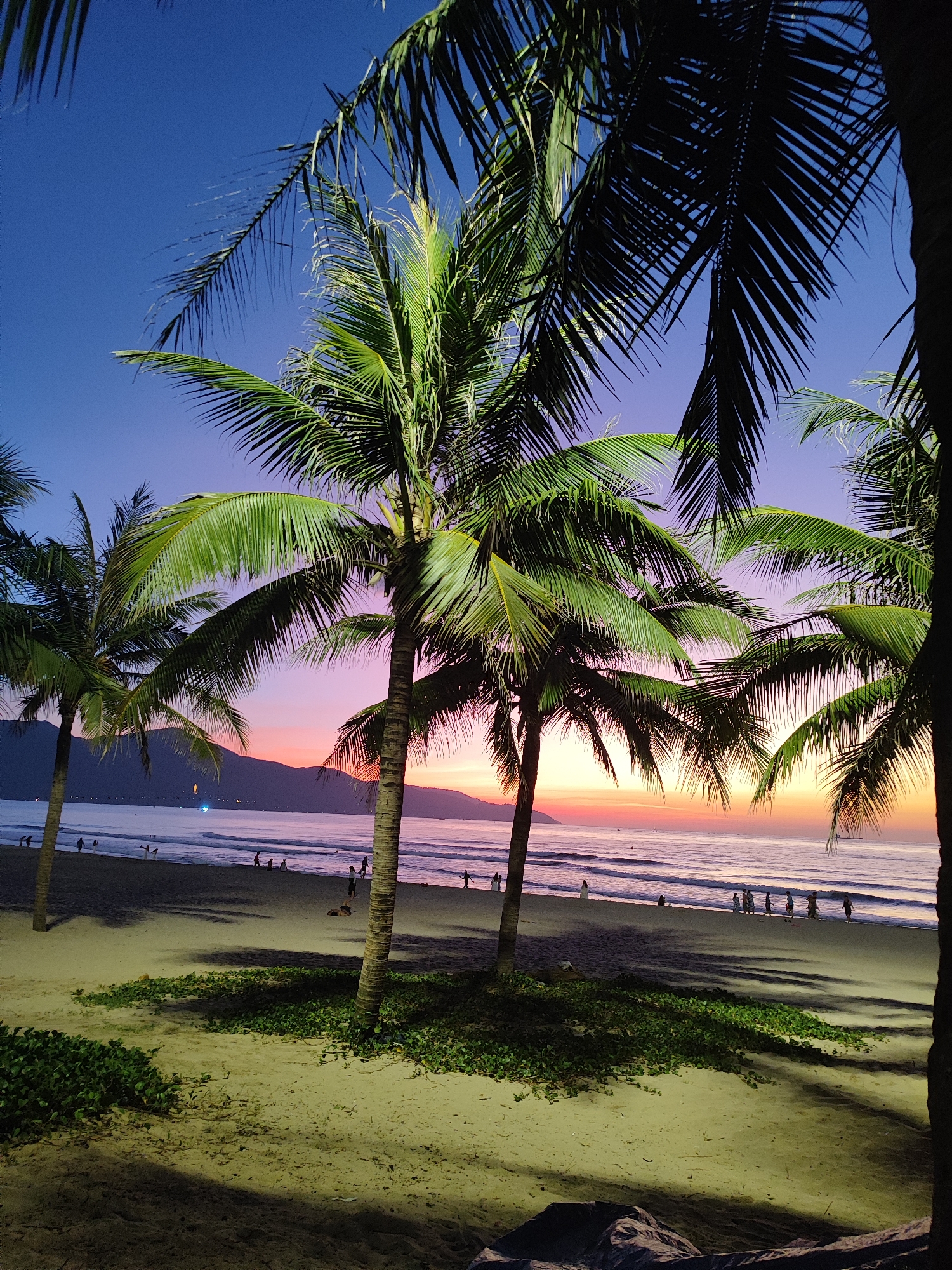 The image depicts a beach scene in Da Nang, Vietnam, during twilight. Palm trees frame the foreground, with their fronds silhouetted against a vibrant sky transitioning from deep blue at the top to hues of pink and orange near the horizon. In the middle ground, the sandy beach slopes gently towards the sea, where gentle waves roll in. A few people are visible walking along the shoreline and near the water's edge. The background features a dark, mountainous silhouette. The overall atmosphere is serene, capturing the tranquil beauty of a tropical evening.
