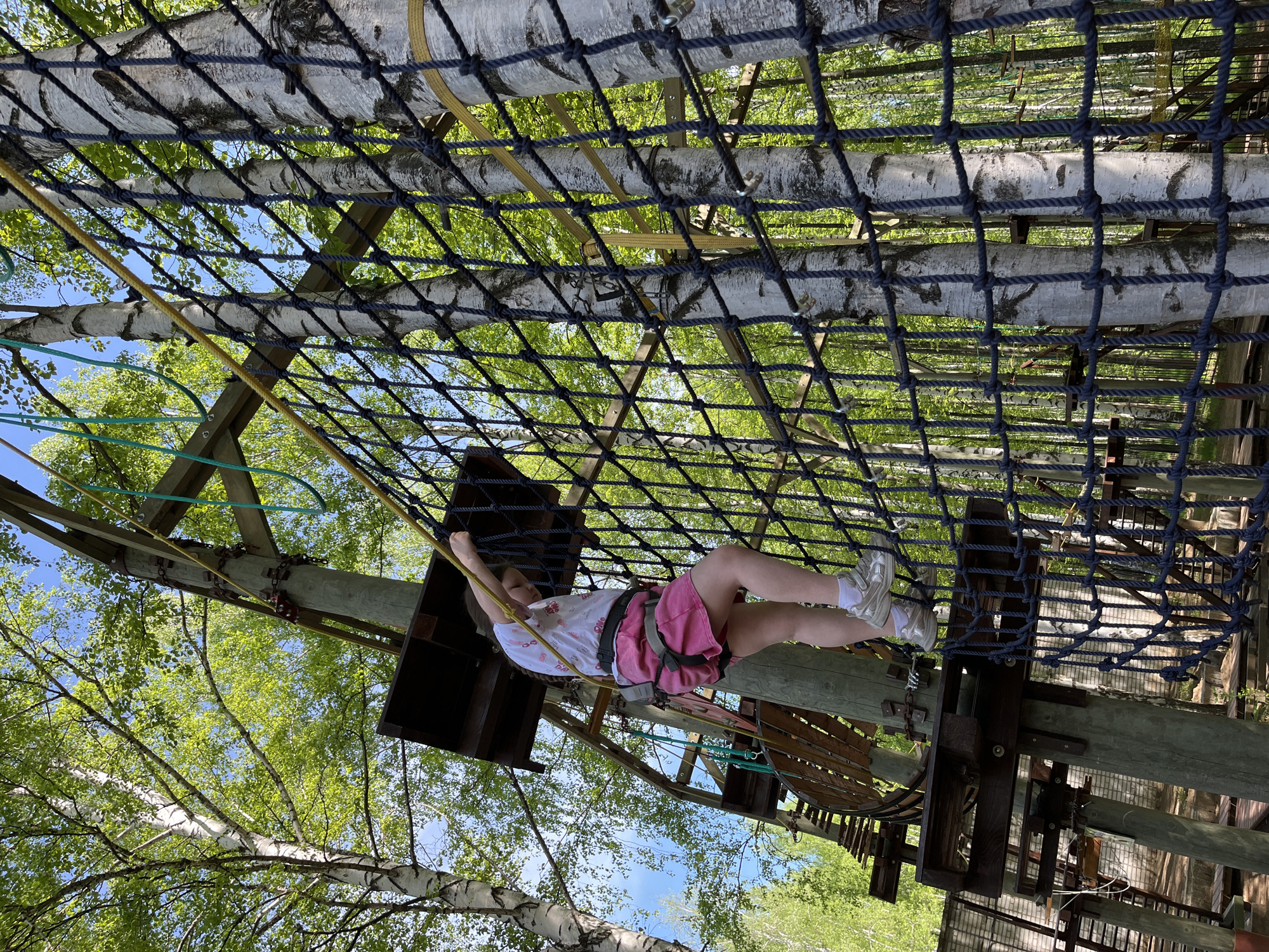 A child is navigating an outdoor adventure park high above the ground. The location is likely in or near the city of Chaikovsky, Russia, given the prompt’s instructions. The child is wearing a safety harness and is secured to the course with lanyards. They are dressed in shorts, a t-shirt, and sneakers. The course itself is constructed of wood and rope, with safety netting visible. The surrounding environment includes birch trees with green leaves, creating a sense of being high in a forest canopy. The angle of the photo is looking up at the child and the course.