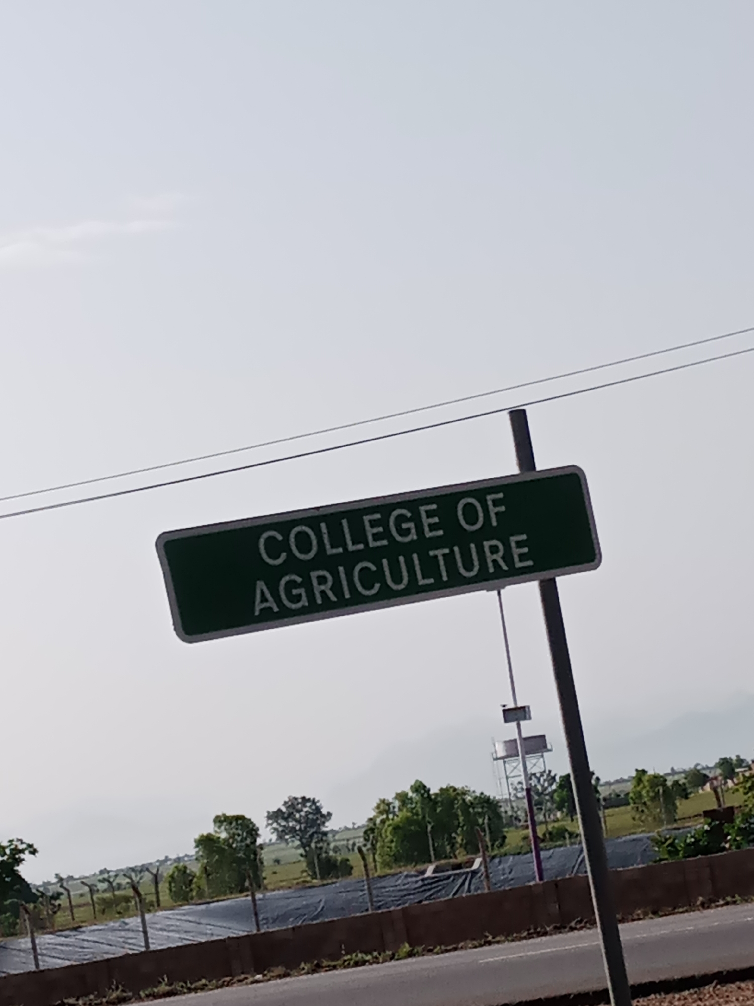 The image shows a green sign that reads "COLLEGE OF AGRICULTURE" in white text, mounted on a pole. The sign is angled and positioned against a bright, hazy sky. Below the sign, a road is visible, with trees and some structures in the distance, including what appears to be a water tower. The overall scene suggests an outdoor location, possibly a roadside entrance to an institution. The location is in Jauro Yinu, Nigeria.