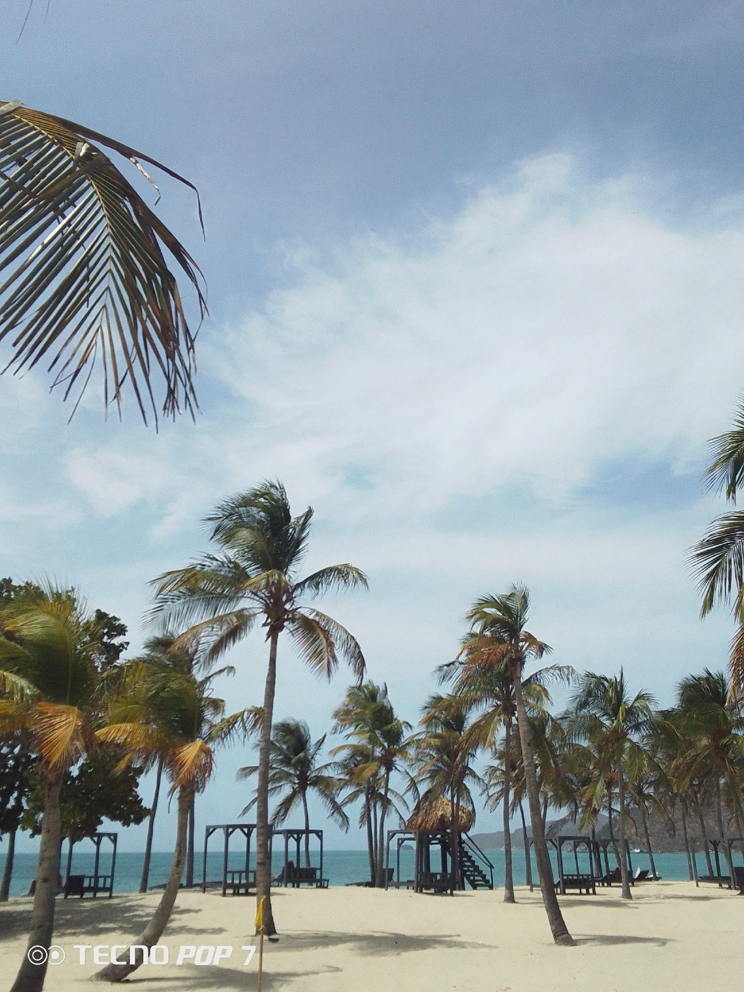 The image shows a beach in Pedro González, Venezuela. Palm trees are distributed throughout the scene, some with leaves framing the top left of the image. The sand is light-colored. Small, open-air structures with benches are placed on the beach near the water. The sea is visible beyond the trees, and the sky above is blue with scattered clouds. A watermark “TECNO POP 7” is at the bottom left corner.