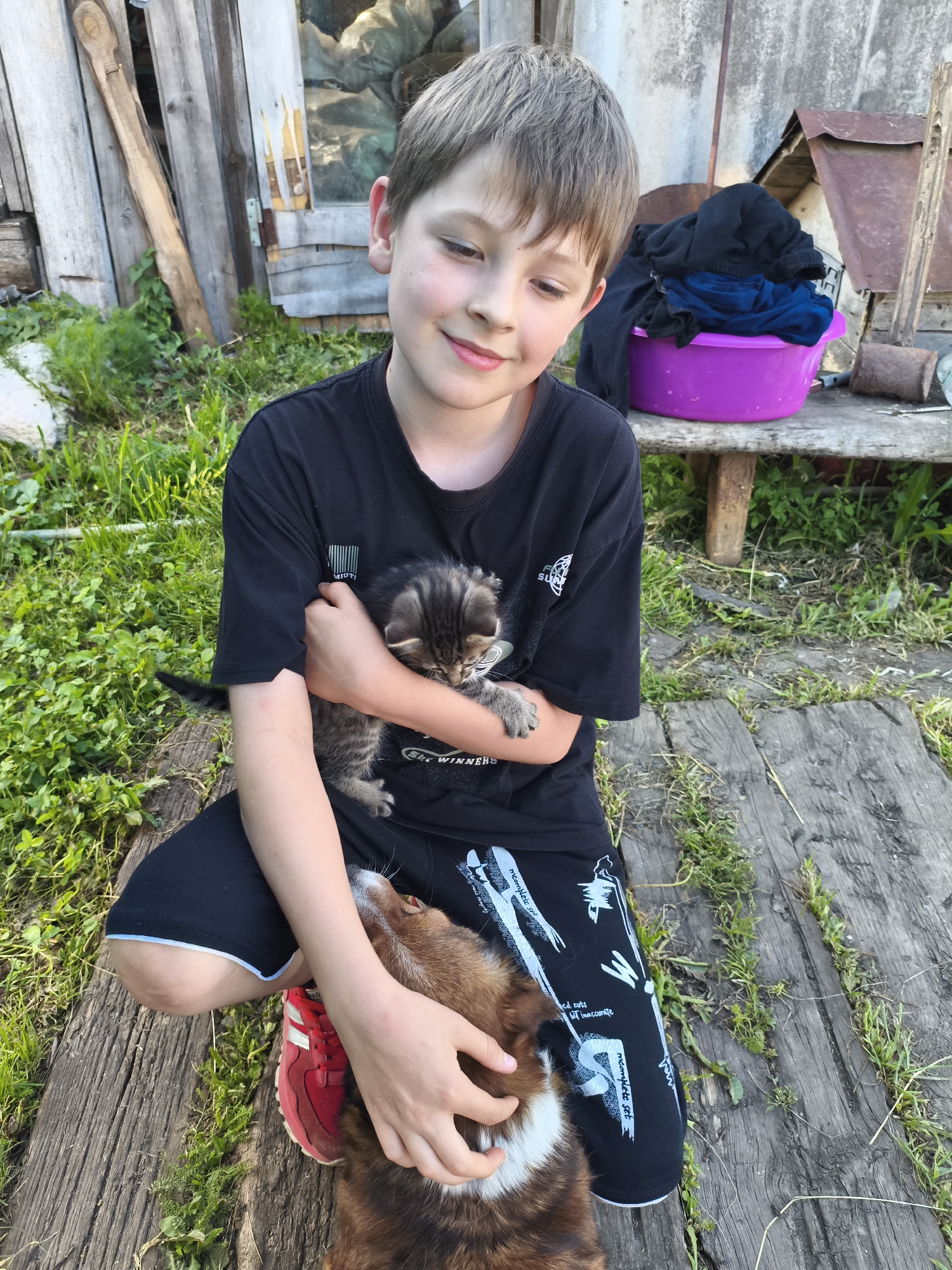 A young boy is kneeling on a wooden plank path outdoors, holding a small tabby kitten in his arms. The boy is wearing a black t-shirt and black shorts with white athletic stripes. He has light brown hair and a contented expression on his face as he looks down at the kitten. A brown and white dog is also present, with its head resting on the boy's leg. The setting appears to be a rural backyard with a wooden fence and overgrown grass in the background. A purple laundry basin filled with clothes is visible on a wooden bench to the right. The overall mood is peaceful and heartwarming, suggesting a warm and sunny day. The image captures a moment of gentle interaction between the boy, the kitten, and the dog.