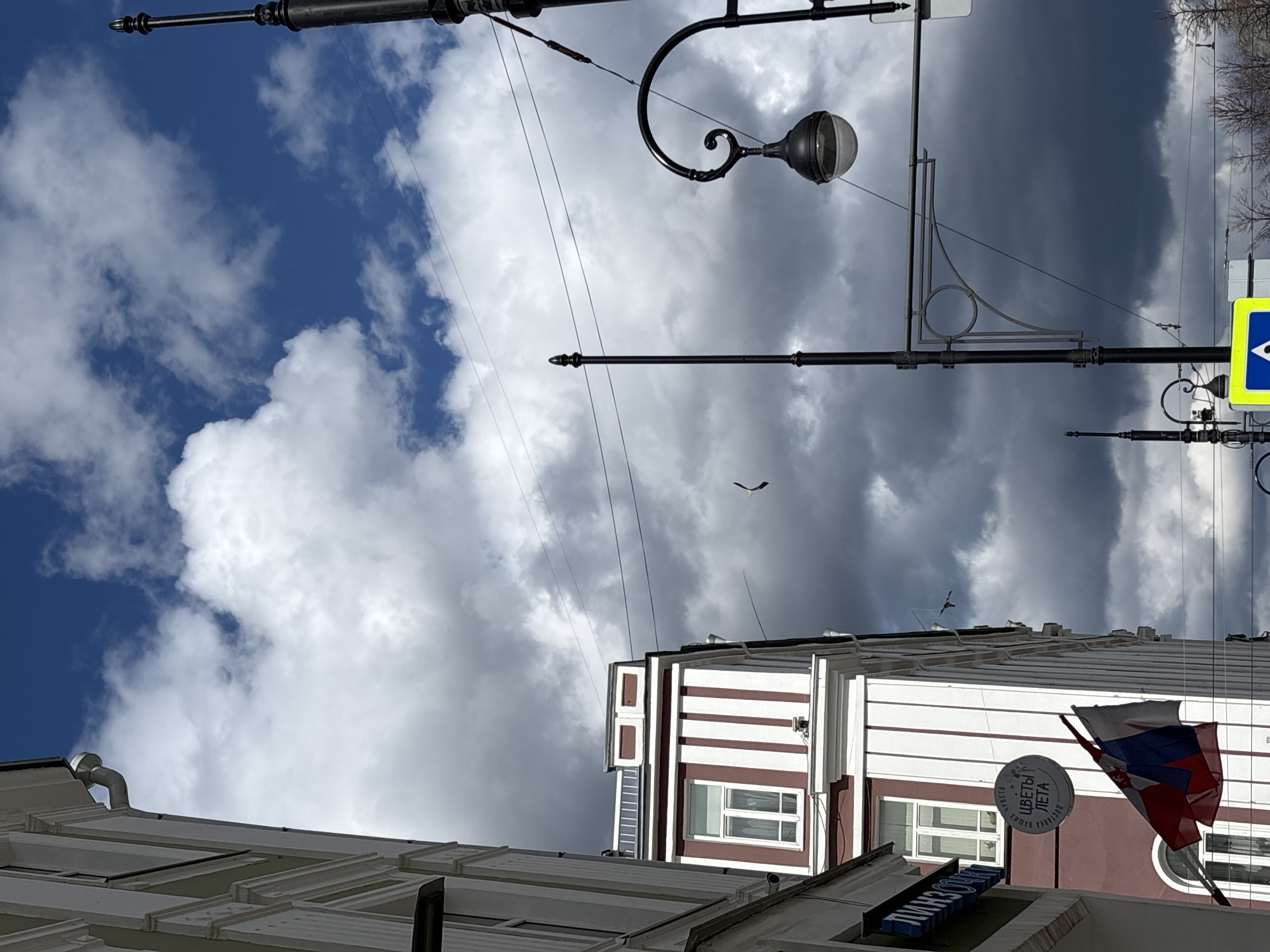 The image presents an upward-looking view of an urban scene in Perm, Russia, dominated by a striking sky and architectural details. The sky exhibits a dramatic contrast: the upper-left section features clear blue sky with bright, fluffy white clouds, while the rest is filled with heavy, dark grey storm clouds. Several ornate black metal streetlights, featuring decorative scrollwork and spherical lamps, are prominent against the sky, along with numerous overhead wires, possibly for trams or trolleybuses. A small bird is seen in flight against the darker clouds.
In the lower portion, parts of buildings are visible. A distinctive building features a facade with alternating white and dark reddish-brown horizontal stripes, pierced by rectangular windows. A Russian flag, with its white, blue, and red horizontal stripes, is flown from this building. A circular white sign attached to the building displays Cyrillic text "ЦВЕТЫ ЛЕТА" (Tsvety Leta), meaning "Flowers of Summer," with smaller text below it reading "ДОСТАВКА ВАШИХ" (Dostavka Vashikh), suggesting a delivery service. Below this, a partial sign starts with "ПИЦЦО...", indicating a pizza place. A yellow and blue road sign is partially visible on the far right. The scene depicts daytime with rapidly changing weather conditions. No people are visible.