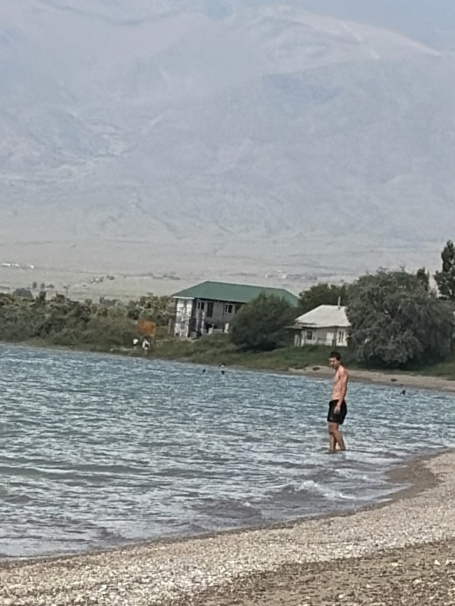 A young man stands in shallow water at the edge of a pebble beach, wearing black swim trunks. He faces towards the viewer, with a slight smile. In the background, there are trees and two houses, one with a green roof and the other white. Beyond the houses, hills rise into a hazy sky. The water is rippling, suggesting a gentle breeze. Several other people are visible in the distance, some in the water and others on the shore. The overall scene appears to be a relaxed day at the lake or seaside.