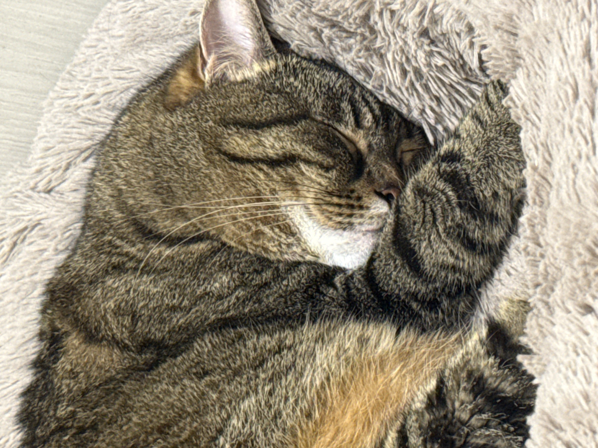 A close-up, overhead shot shows a brown and black tabby cat curled up and sleeping soundly on a fluffy, light brown pet bed. The cat is nestled into its bed, with its head tucked in and its paws tucked beneath its body. Its eyes are closed, and its whiskers are relaxed. The fur of the cat is a mix of brown, black, and tan stripes, and the pet bed appears to be made of a soft, plush material. The lighting is natural and soft, highlighting the texture of the cat's fur and the pet bed. The background is out of focus, further emphasizing the sleeping cat. There is no indication of the cat's location within Simferopol, Ukraine; this image depicts a domestic setting.