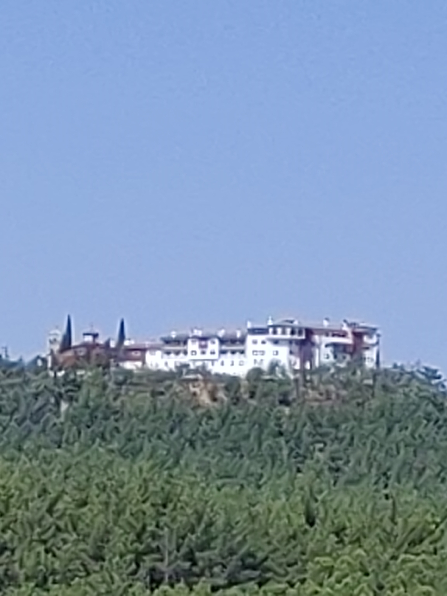 An aerial long-shot captures a large, white building with traditional architectural elements, including arched windows and a tiled roof, situated atop a hill covered in dense green trees. The building appears to be a monastery or a significant cultural landmark, with multiple structures connected by walkways. The sky above is a clear, pale blue. The image has a slight blur and is taken from a distance, suggesting it may be a photograph of the Monastery of Agios Efrem in the Municipal Unit of Koufalia, Greece, although the exact location cannot be definitively confirmed from the image alone.