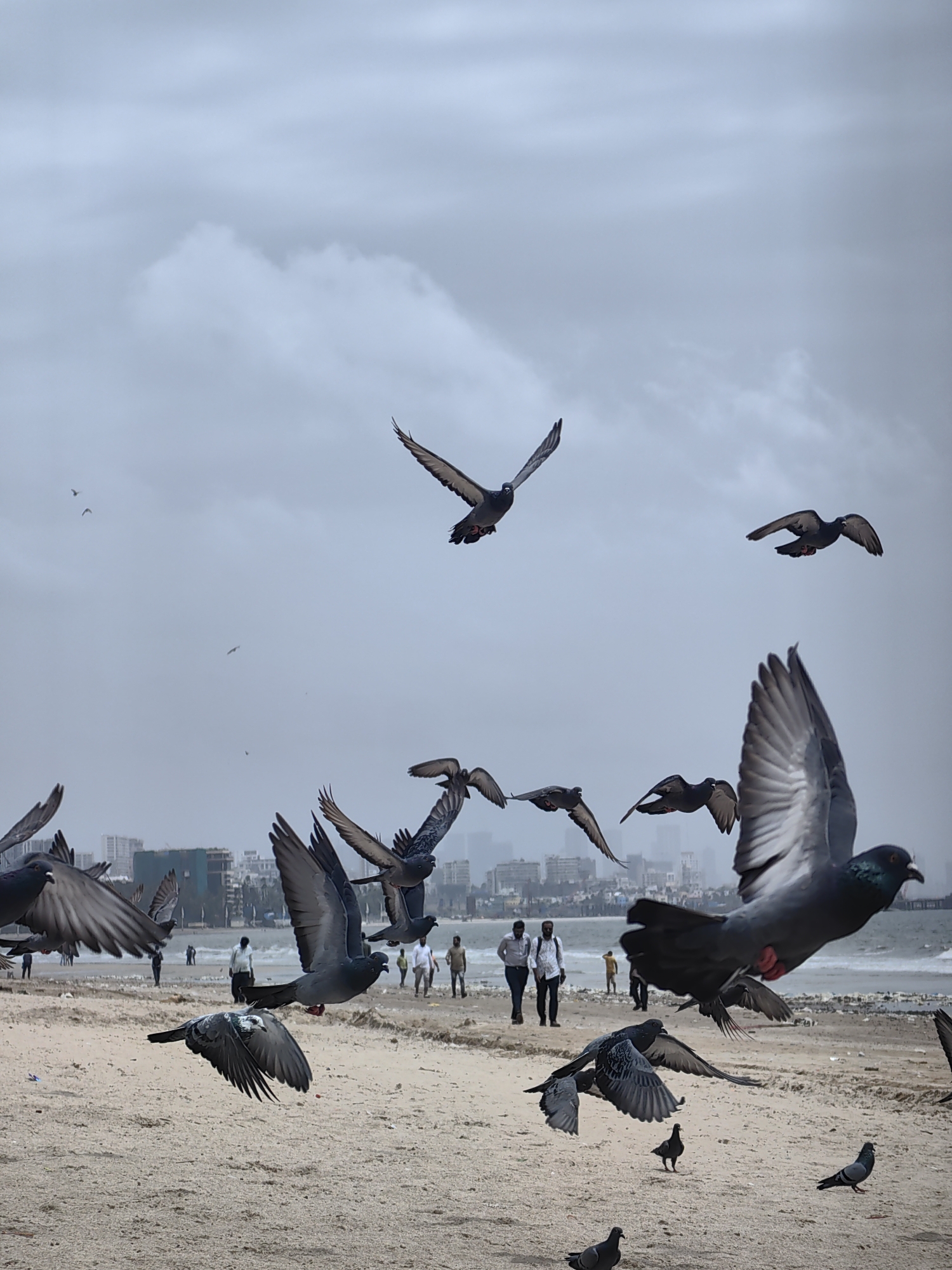 A flock of pigeons is in flight and on a sandy beach, with a city skyline and ocean in the background. The sky is overcast and a light gray. The pigeons vary in size and position, with some in sharp focus and others blurred by motion. A few people are visible in the distance on the beach, walking along the shoreline. The city skyline features several buildings of varying heights, suggesting an urban coastal environment. The beach is mostly sand with some debris scattered on the surface. The scene appears to be captured during daylight hours under diffused lighting conditions. This is likely a public area in Mumbai, India, given the presence of pigeons commonly found in urban environments and the architectural style of the distant buildings.