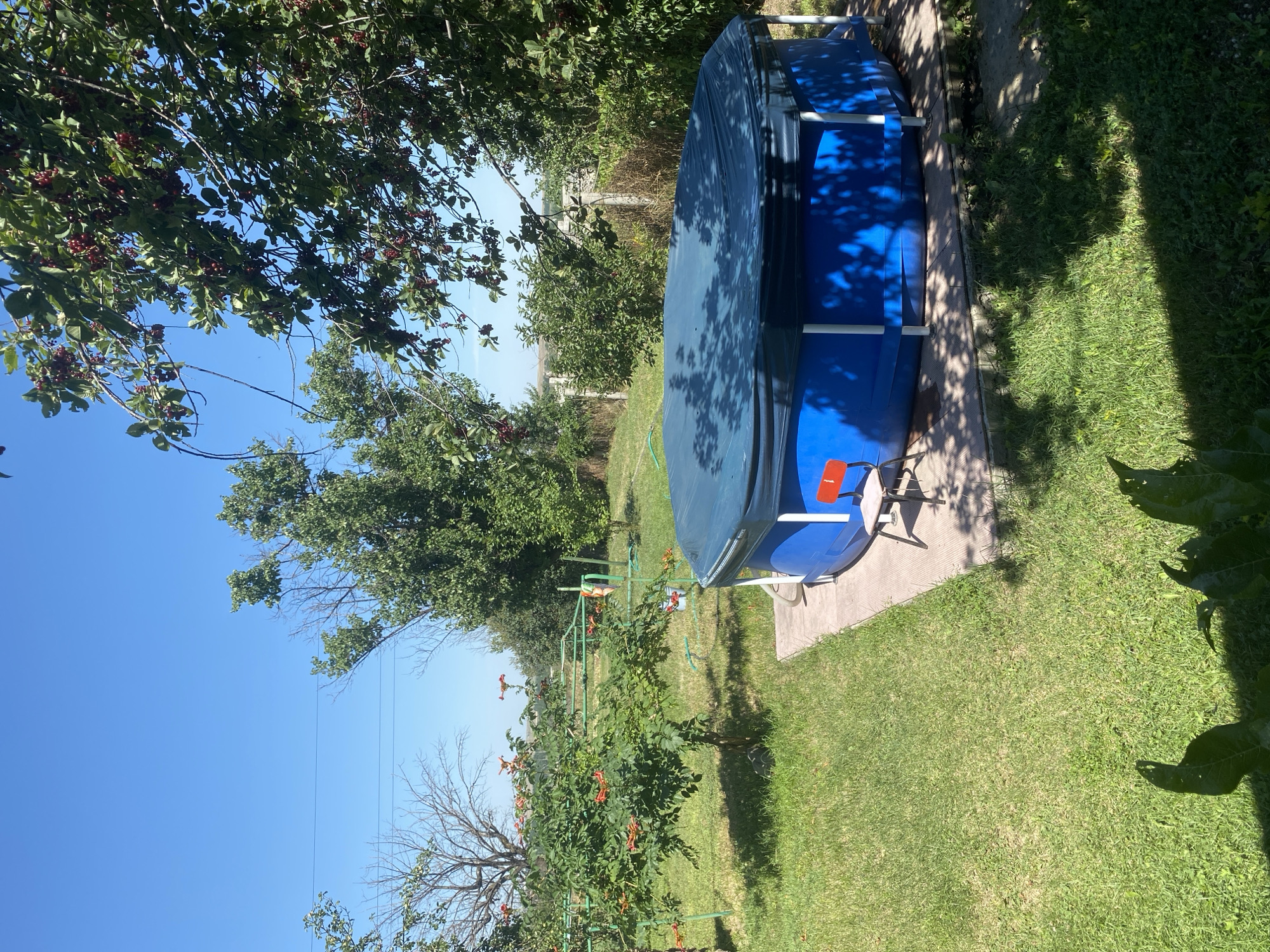In the city of Жалпақсай, Kazakhstan, this image captures a backyard scene on a sunny day with a clear blue sky. A large, round, blue inflatable swimming pool is covered with a dark blue tarp. The pool is situated on a rectangular concrete base. A small, red stool with a black frame is placed next to the pool. The surrounding area is covered with green grass. To the left of the pool, there is a tree with green leaves and some red fruits, and beyond that, a green metal structure that appears to be a swing set. Further in the background, there are more trees and a fence. The overall environment suggests a residential outdoor space.