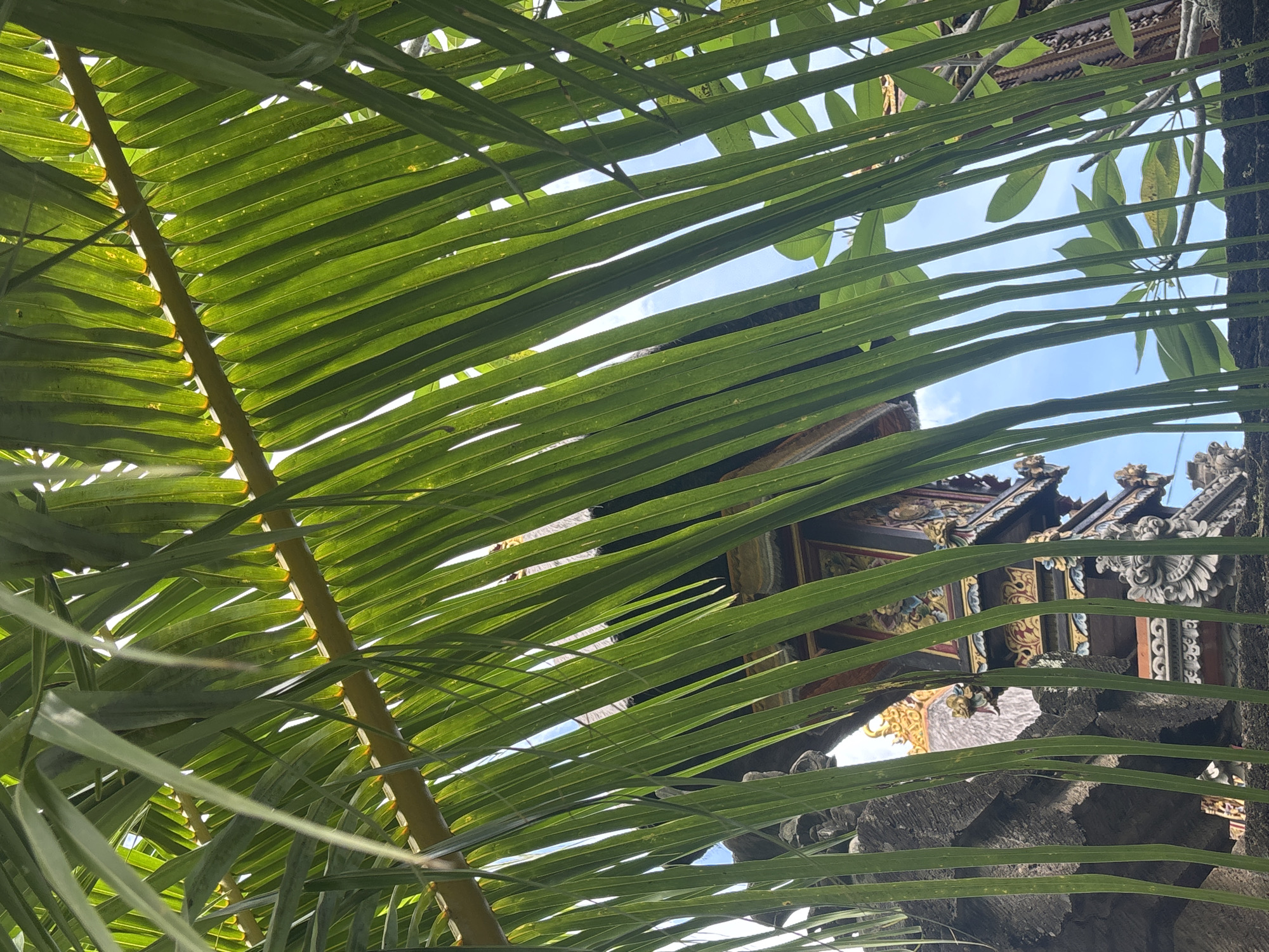 The image, captured in North Kuta, Indonesia, shows a partial view of a building, likely a traditional Balinese structure, framed by palm fronds. The building features ornate carvings and decorative elements, with visible gold and red paint. A grey, textured pillar or wall stands to the right of the structure. The sky is visible through gaps in the foliage, appearing blue. The foreground is dominated by the green palm leaves and a yellow stem.