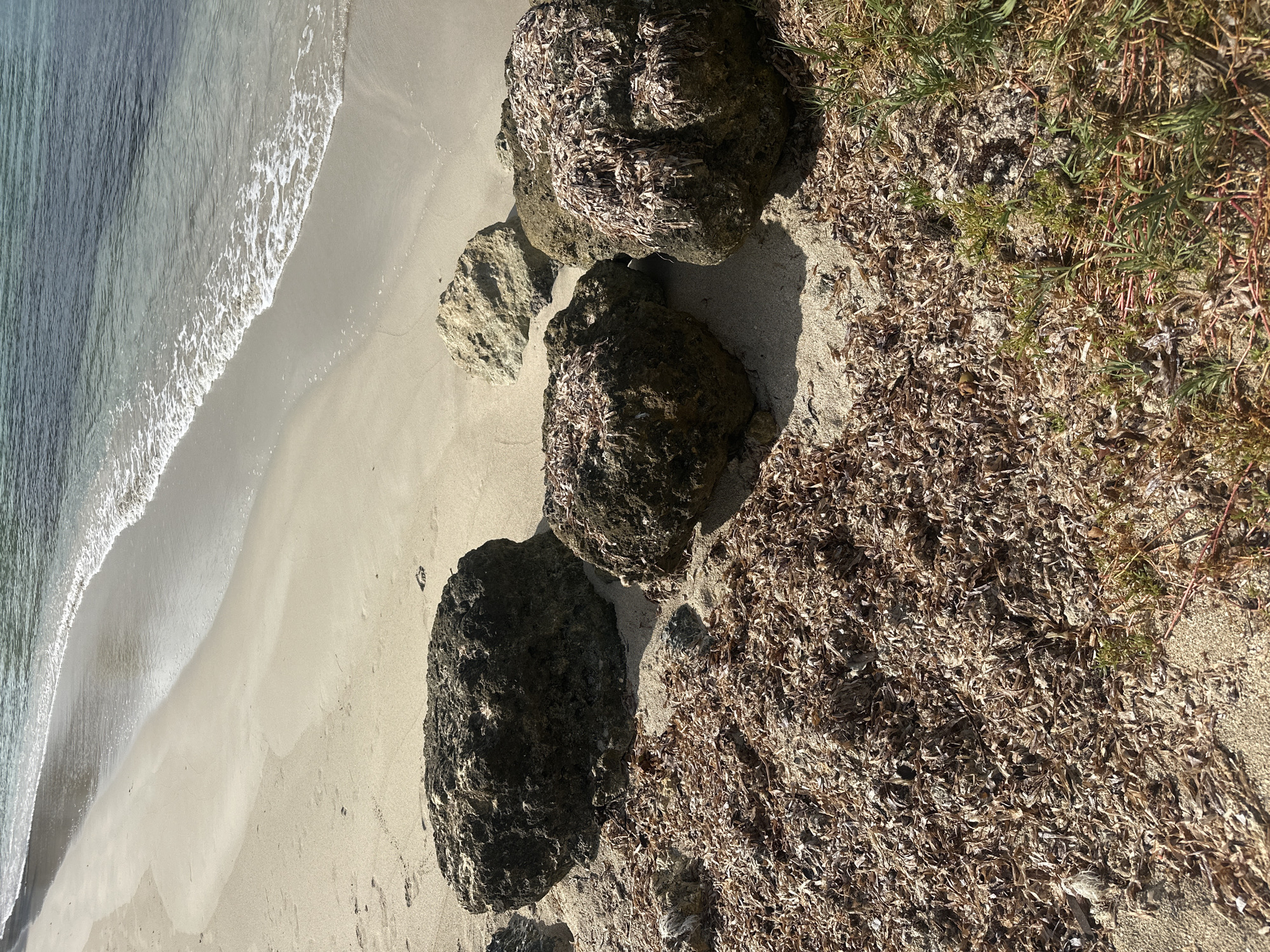 The image depicts a beach scene with several large rocks, sand, and seaweed. The rocks are dark and textured, some partially covered in dried seaweed. The sand is light in color and stretches from the shoreline to the rocks, also with clumps of dried seaweed. The water's edge is visible, with a small wave gently washing onto the shore. Vegetation is present in the upper right corner of the image. The scene is located in Le Gosier, France, given the location.