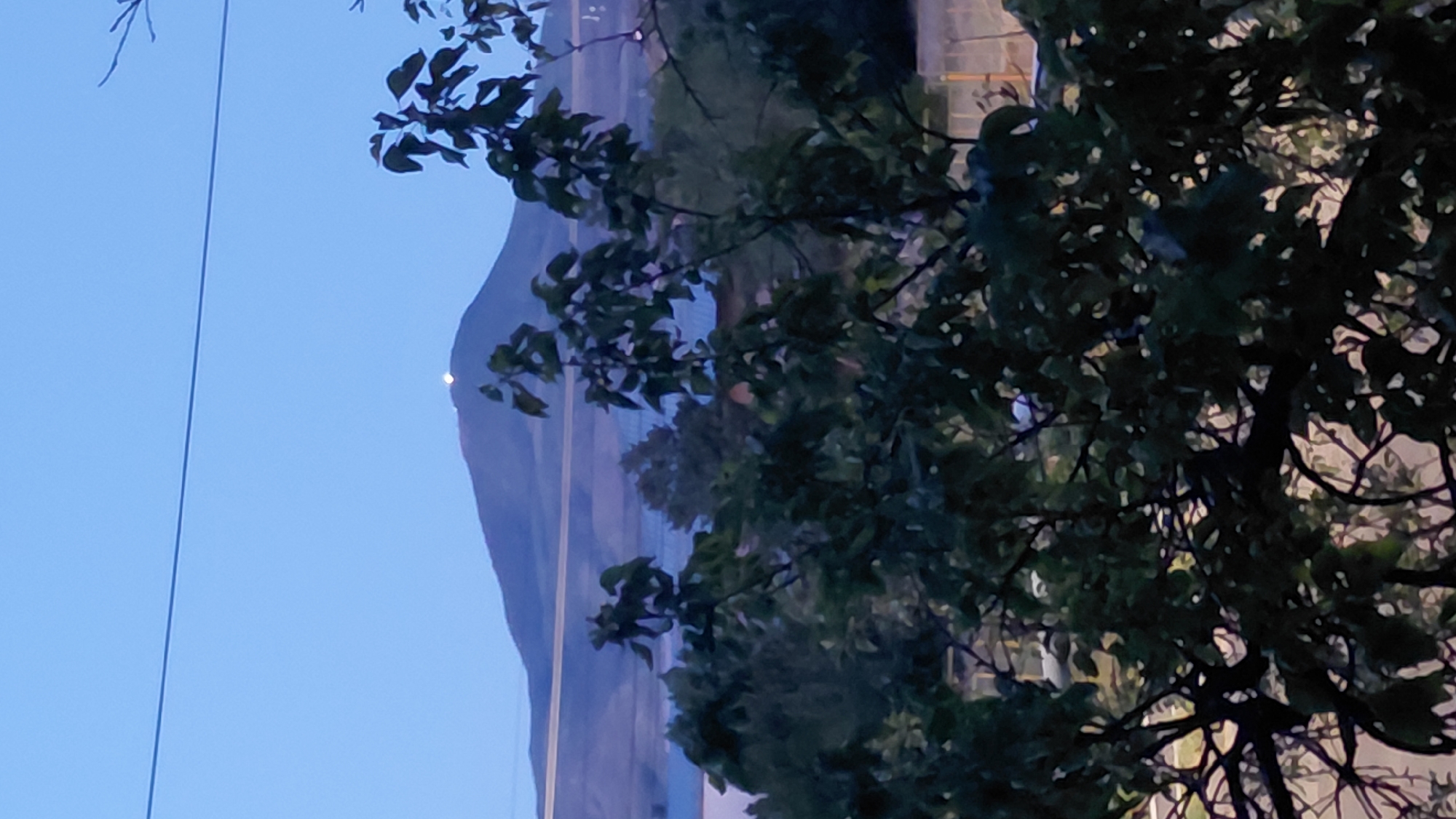 A landscape photograph captures a distant mountain peak illuminated by a bright light at its summit. The sky above is a clear, pale blue, indicating either early morning or late evening. A thin, dark line, likely a utility wire, stretches horizontally across the upper portion of the frame. In the foreground, the silhouette of dark green foliage from trees partially obscures the view of the mountain and the surrounding landscape. The terrain beyond the trees appears to be relatively flat, with the mountain rising prominently in the distance. The overall atmosphere is serene and the lighting suggests twilight conditions.