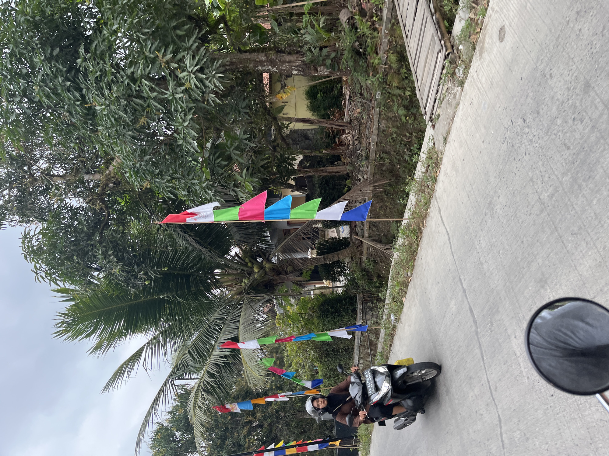 In Karangtanjung, Indonesia, a person is riding a motorcycle on a paved road. The rider, wearing a brown jacket and a dark headscarf, is on a dark-colored scooter. The road is bordered by a concrete barrier and lush green vegetation. Colorful flags are strung along the roadside, attached to poles. Beyond the vegetation, houses with tiled roofs are visible, interspersed with trees, including a prominent coconut palm tree laden with coconuts. A small wooden bridge crosses a channel to the right of the road. The sky is overcast. The image appears to be taken from another moving vehicle, possibly a motorcycle, as a rearview mirror is visible in the foreground reflecting a gray fabric.