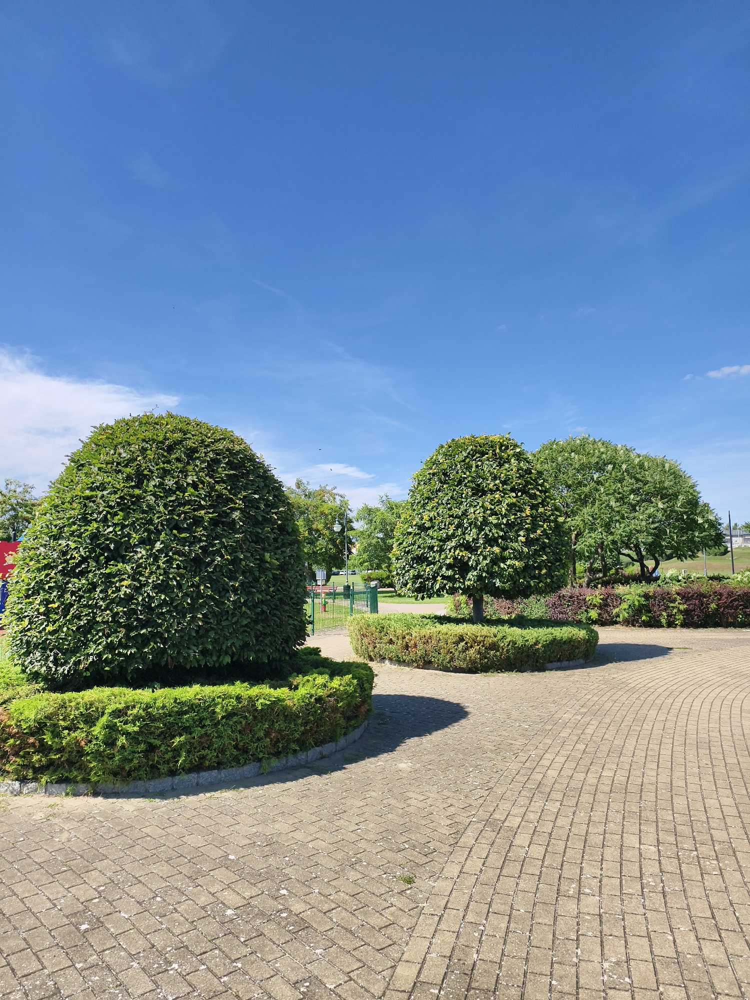 The image captures a serene park scene on a bright, clear day with a vibrant blue sky dotted with a few wispy clouds. In the foreground, a meticulously paved walkway, constructed with light-colored rectangular bricks, curves gently through the landscape. The walkway is bathed in sunlight, casting distinct shadows from the surrounding greenery.
Dominating the left side of the frame is a large, cone-shaped topiary, its dense green foliage meticulously sculpted. It sits within a low, circular hedge bed, also neatly trimmed. To the right of this, a smaller, rounded topiary stands on a similar low hedge base. Further in the background, more mature trees with full, leafy canopies are visible, interspersed with a variety of shrubs displaying a mix of green and reddish-brown foliage.
A glimpse of a playground structure with colorful elements can be seen on the far left, behind the large topiary, suggesting recreational use of the park. A green metal fence runs along the middle ground, separating different sections of the park. The overall impression is one of a well-maintained urban park, offering a tranquil green space for visitors. This location is identified as a public park within the city of Tczew, Poland.
