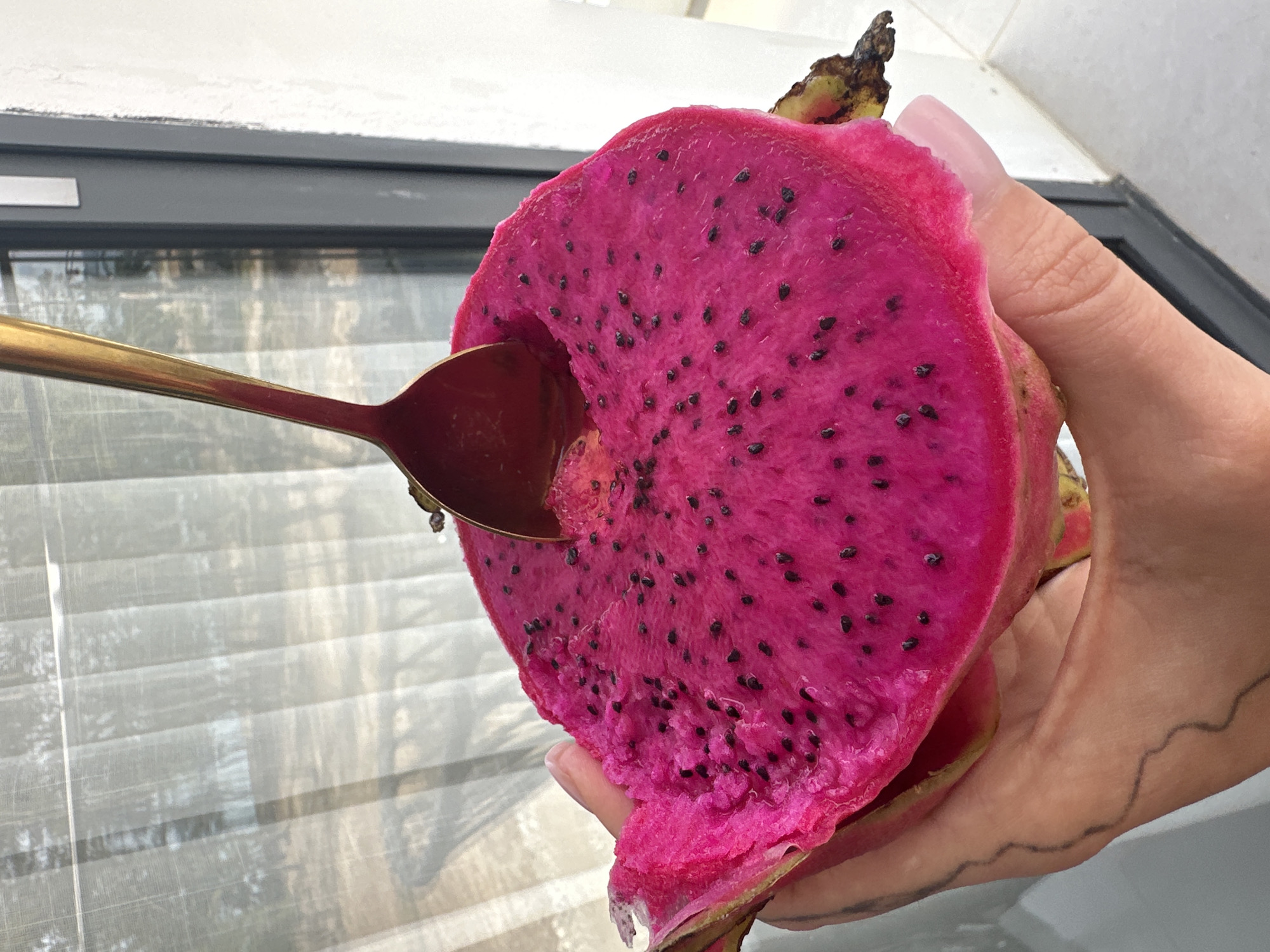A partially eaten, halved dragon fruit with bright pink flesh and black seeds is held in a person's hand with long, manicured nails. A golden spoon is inserted into the fruit. The setting appears to be indoors, with a window and blinds visible in the background. This image may have been taken in Choeng Thale, Thailand.