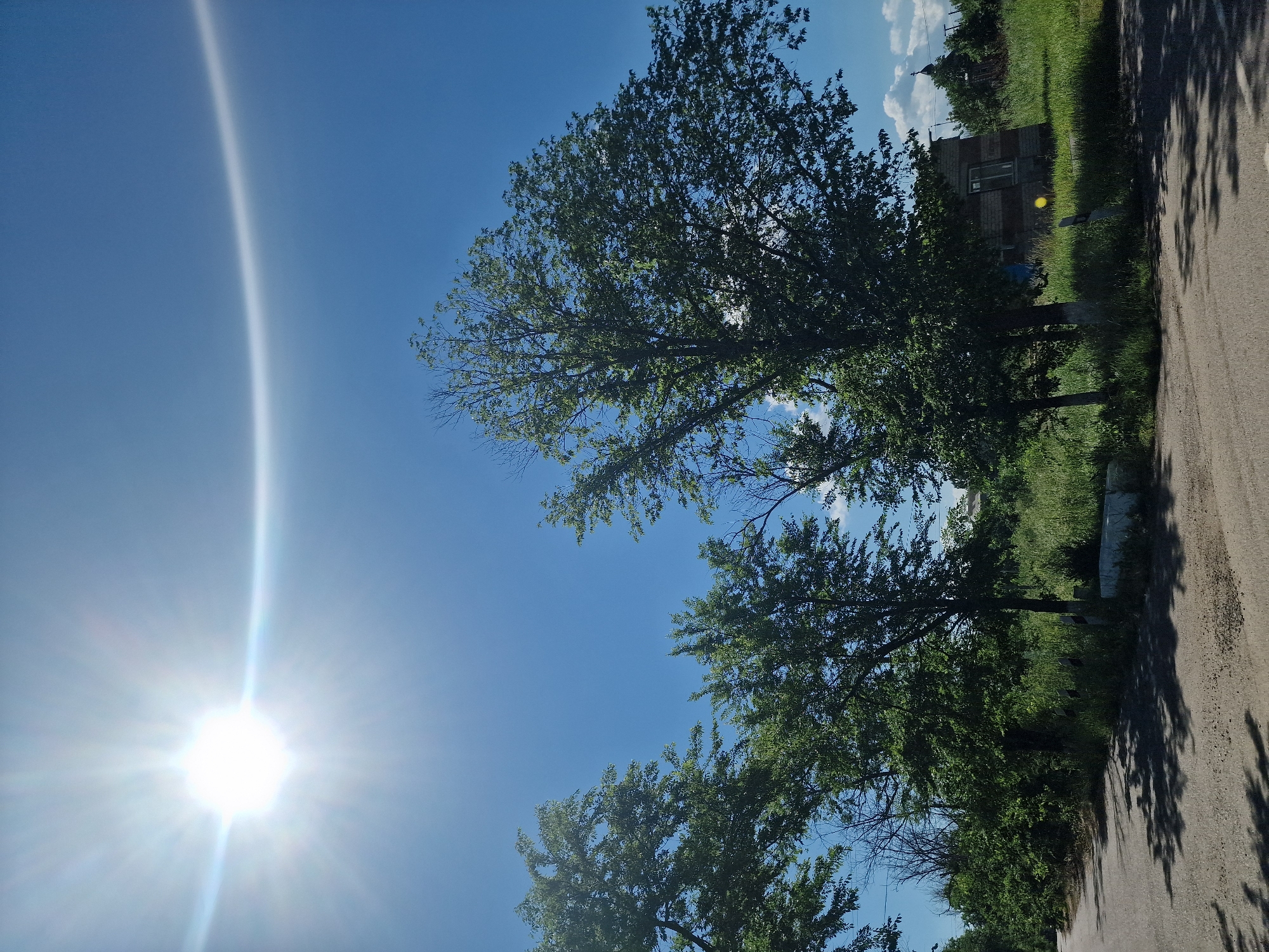 The image depicts a sunny day in Kursavka, Russia, with a clear blue sky and the sun prominently visible in the upper left quadrant. A faint circular halo surrounds the sun. Several lush green trees with full canopies are scattered across the landscape. In the middle ground, a dilapidated building with a brick and wood facade is visible, partially obscured by foliage. The foreground shows a dirt road casting shadows from the trees. The environment appears rural, with tall green grass and scattered vegetation.