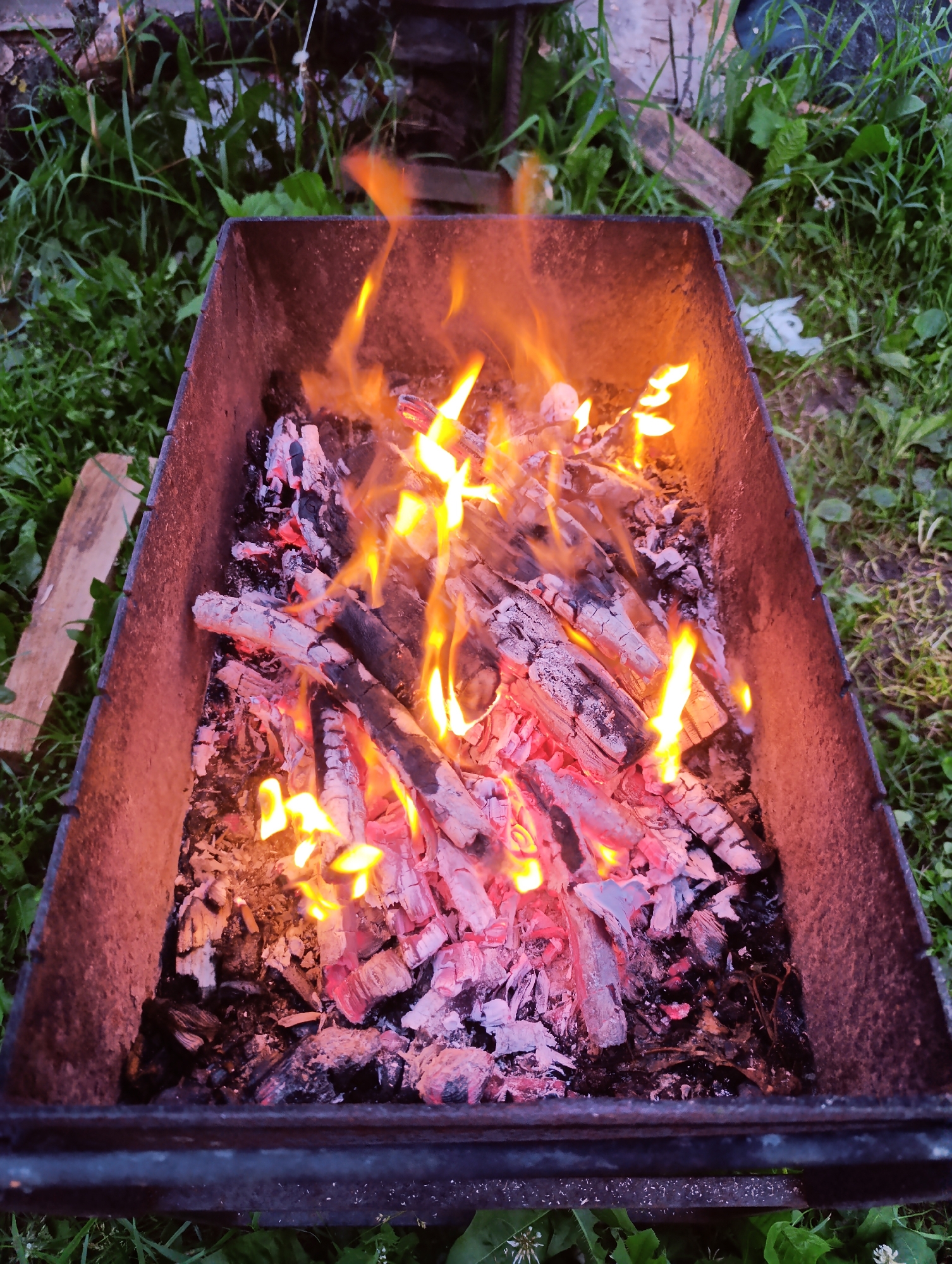 The image shows a close-up, high-angle view of a metal brazier filled with burning wood and glowing embers. The fire is actively burning, with flames licking upwards and illuminating the ash-covered logs. The brazier itself appears to be made of dark metal and is situated outdoors on a patch of green grass, with some fallen leaves and debris visible around it. In the background, there is more greenery and what appears to be some wooden planks or debris. The lighting suggests it might be evening or overcast. There are no people or animals visible in the image.