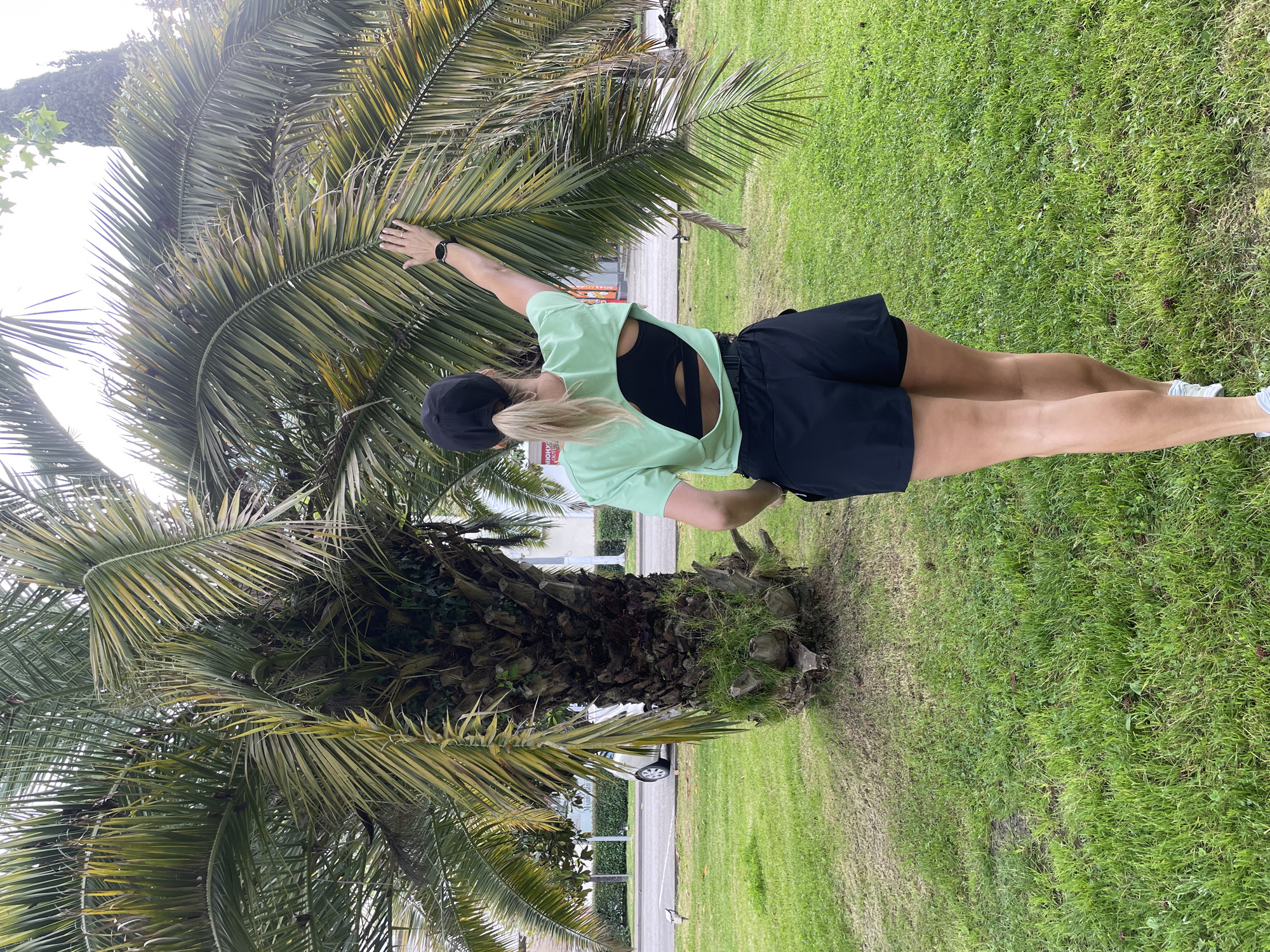 A person is standing in a grassy area next to a palm tree. The person is wearing a light green, open-back shirt, black shorts, a black baseball cap, and athletic shoes. The person is reaching their left arm toward the palm tree's leaves. The scene appears to be outdoors in a park or grassy area. There is a glimpse of a street and buildings in the background. The location is in Sochi, Russia.