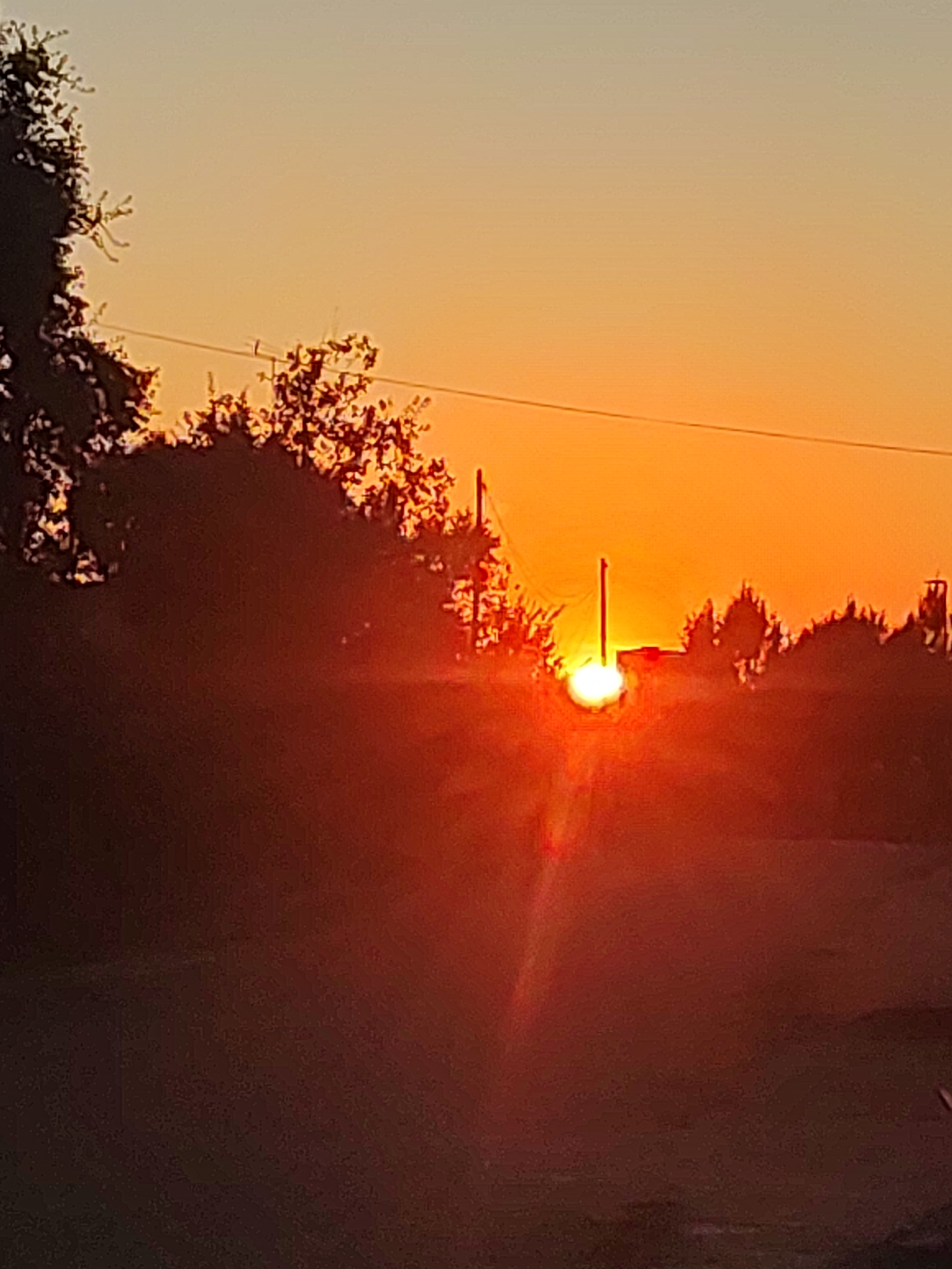 The image captures a sunset over Sobradillo, Spain, casting a warm orange and yellow glow across the sky. Silhouetted against the vibrant sky are trees and a utility pole, suggesting a rural or semi-rural setting on the outskirts of the city. The sun is partially obscured by the horizon, creating a bright, lens-flare effect. The foreground is dominated by dark, indistinct shapes, likely representing the ground and possibly more foliage, further emphasizing the silhouetted elements against the illuminated sky.