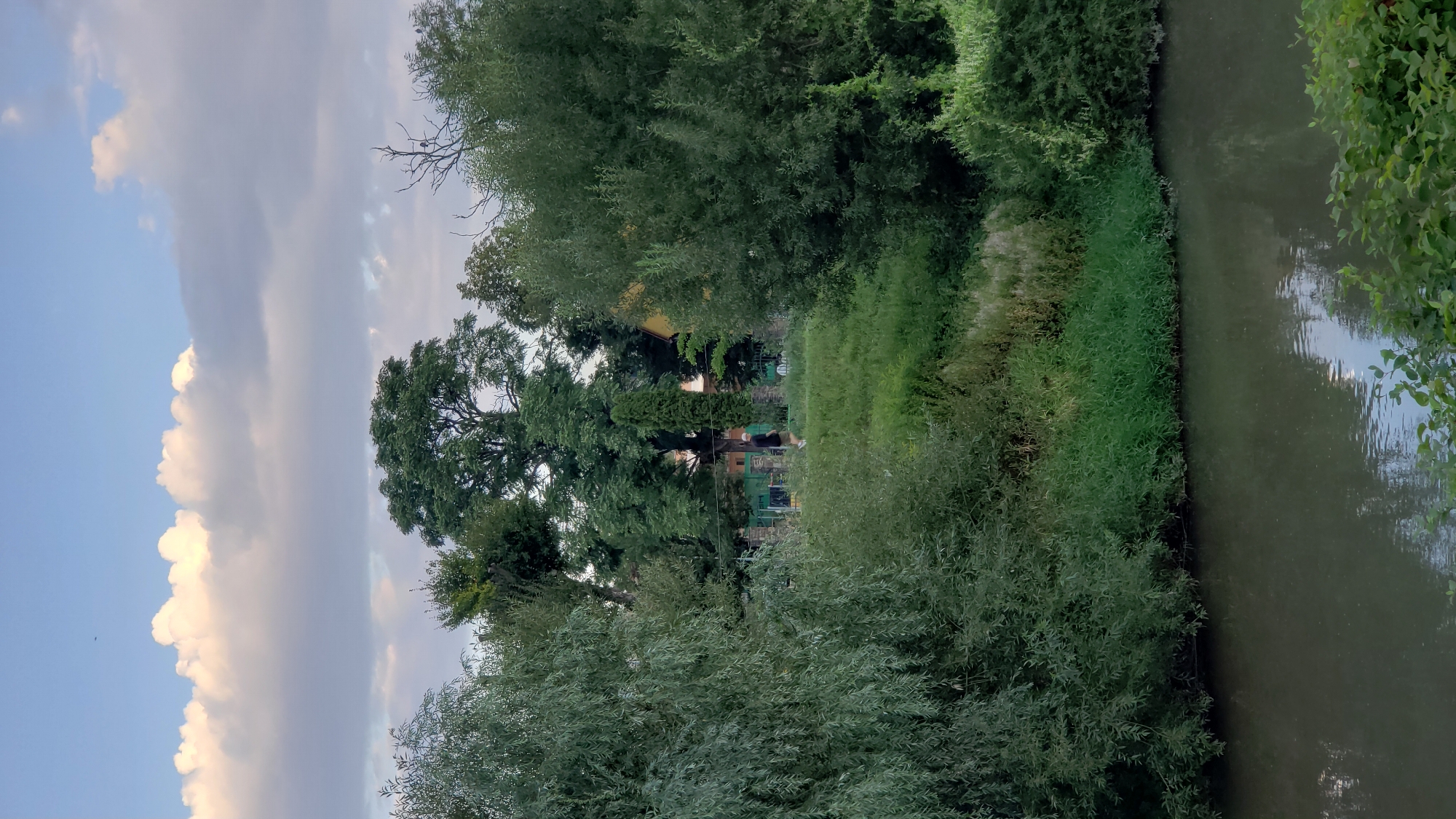 The image depicts a serene natural scene with a body of water in the foreground, likely the Sekčov River, which flows through the city of Prešov, Slovakia. Lush green vegetation, including trees and bushes, lines the riverbank, creating a dense, natural border. In the middle ground, a person is seen walking or jogging on a grassy path, suggesting recreational activity in this area. Beyond the path, a fence and some buildings are partially visible, indicating a transition from the natural landscape to a more developed or residential area within Prešov. The sky above is partially cloudy, with a mix of light and dark clouds, suggesting either early morning or late afternoon light conditions. The overall atmosphere is peaceful and tranquil, characteristic of a natural setting within an urban environment.