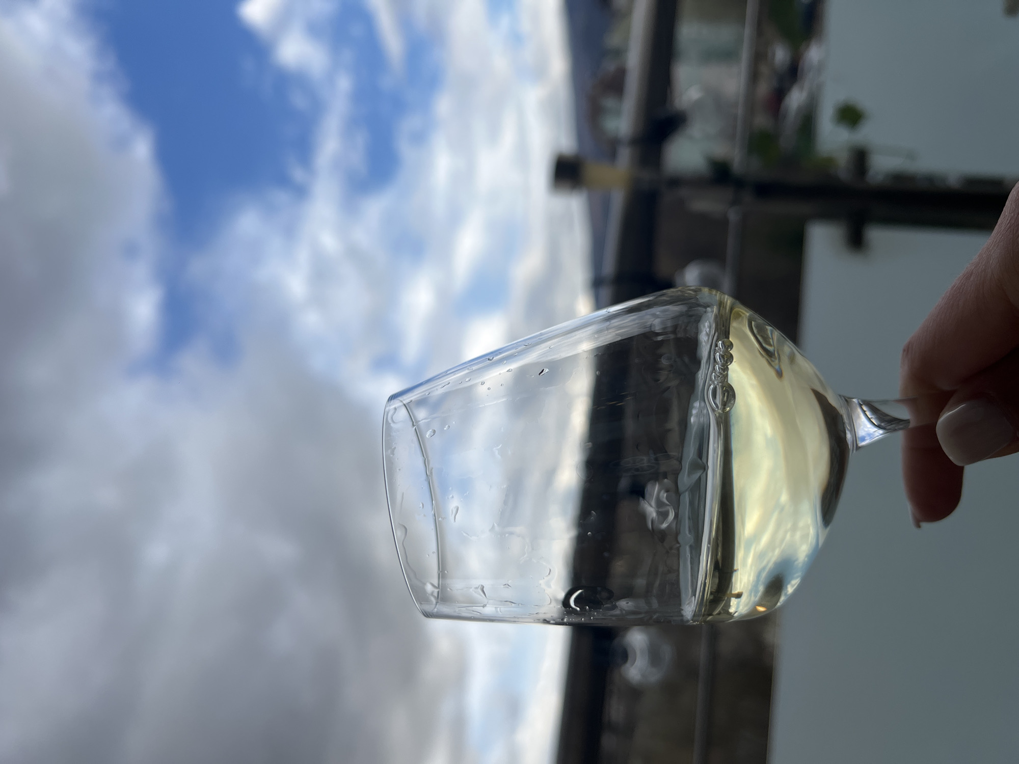 The image shows a hand holding a wine glass with a clear, pale liquid inside, possibly white wine, against a backdrop of a cloudy sky. Through the glass, reflections of a building structure are visible, suggesting an urban setting. Due to the limited information, I can’t identify if it’s Sofia, Bulgaria. More context is needed.