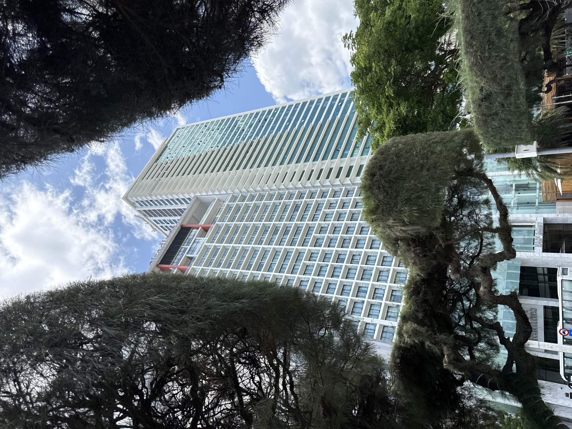 The image captures a segment of a tall, modern hotel or condominium building in Nha Trang, Vietnam, likely the Muong Thanh Luxury Nha Trang Hotel. The building features a white facade with numerous balconies and blue-tinted windows arranged in a grid pattern. It is framed by lush, dark green trees that partially obscure the view, creating a sense of depth and natural contrast with the urban structure. The sky above is a bright blue with scattered white clouds. In the foreground, the textured branches and foliage of the trees are prominent, with a hint of a building entrance and possibly a bus visible at the bottom, suggesting a street-level perspective. The overall impression is one of a vibrant city scene where nature and modern architecture coexist.