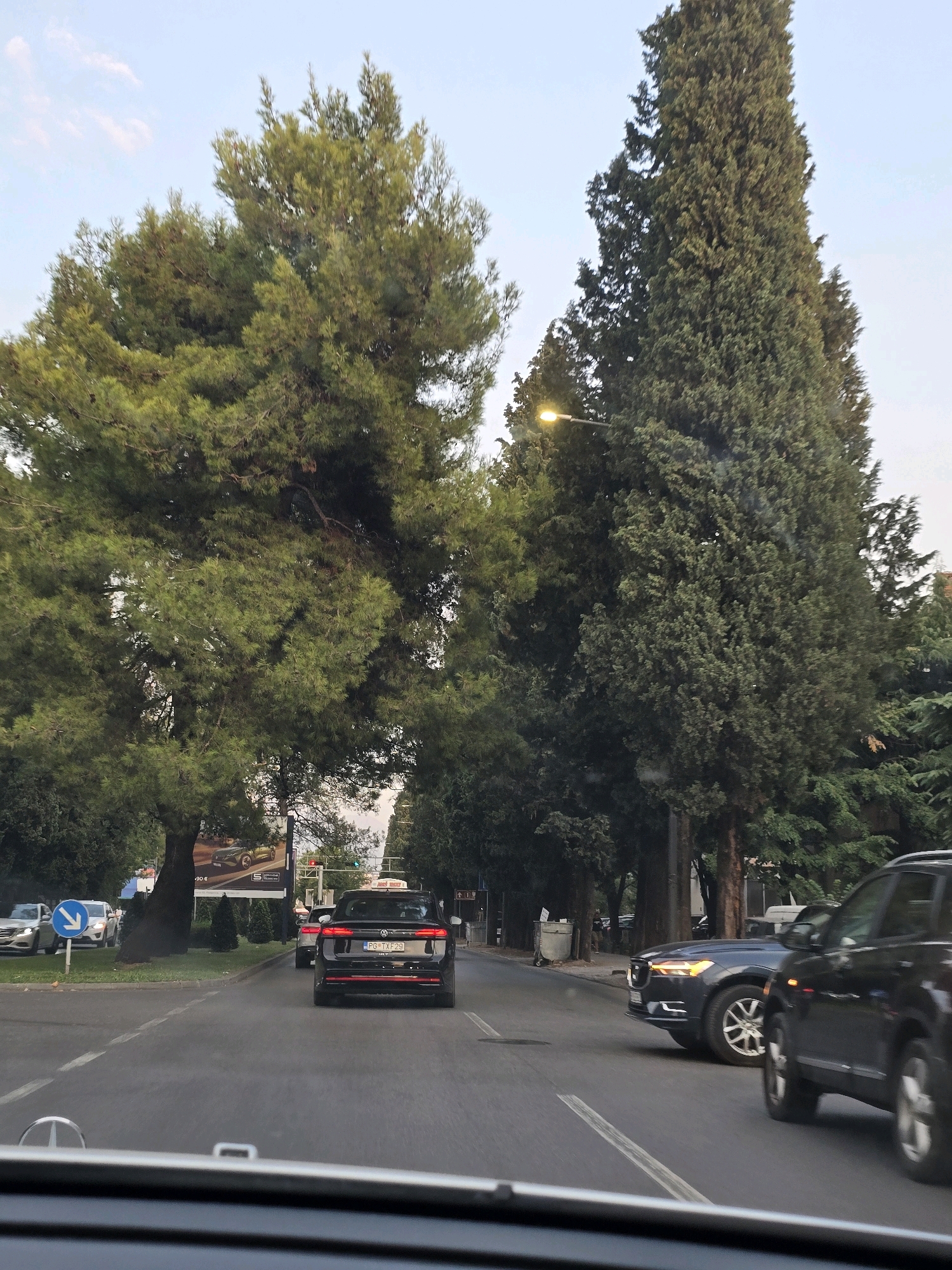 The image captures a street scene in Podgorica, Montenegro, likely on a road with multiple lanes and flanked by lush greenery. The perspective is from inside a vehicle, looking forward. Dominating the foreground and midground are large, mature trees, one with a broad canopy and the other a tall, slender cypress-like tree, with a street lamp visible near the latter.
Several vehicles are present on the road. In the immediate foreground, the dashboard and windshield frame of the car from which the photo is taken are visible. Further ahead, a black sedan, possibly a Volkswagen, with a license plate reading "PG TXF 29", is positioned in the right lane. To the left of this sedan, a dark blue SUV, potentially a Volvo, is also in motion. In the distance, on the left side of the road, a light-colored sedan and another vehicle are stopped. A blue directional sign with a white arrow pointing left is visible on the side of the road. A large billboard featuring an image of a classic car is also present on the left side, behind the trees. The sky above is a pale blue with a few wispy clouds, suggesting it might be late afternoon or early evening. The environment appears to be a well-maintained urban area with a significant presence of mature trees.