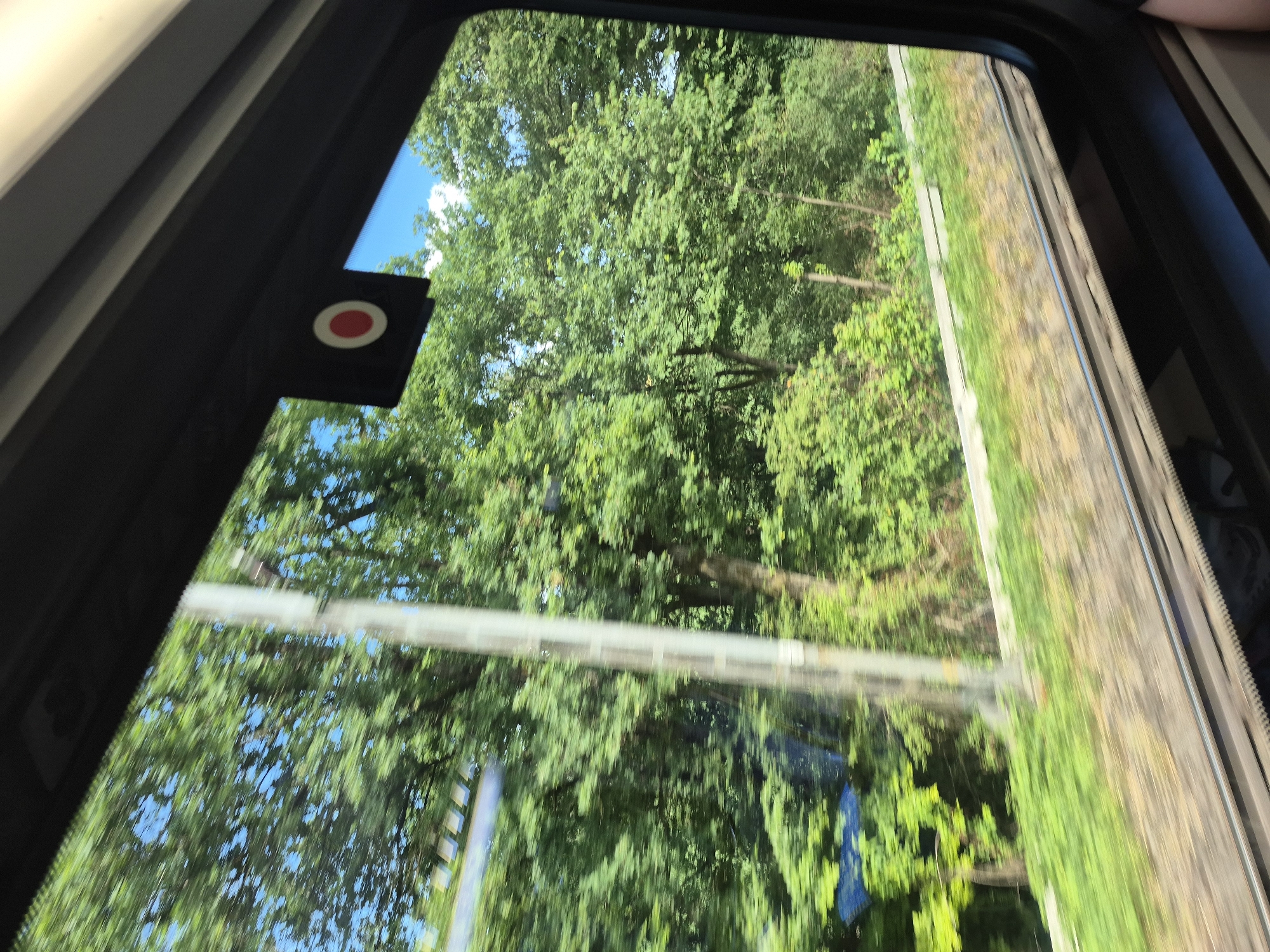 The image is a view through a train window, looking out at a lush green landscape. The perspective suggests the train is moving, evidenced by the slight blurriness of the trees and foliage outside. In the foreground, the train tracks are visible, running horizontally across the bottom of the frame. The window frame itself is dark, with a small, circular red and white sticker adhered to the top interior edge. Outside, dense trees with bright green leaves dominate the scenery, interspersed with patches of blue sky. A vertical, light-colored pole, possibly a utility pole, stands among the trees. The ground outside appears to be covered in grass and other low-lying vegetation. The overall impression is of a scenic journey through a verdant, possibly rural, area. The location is identified as Salmtal, Germany.