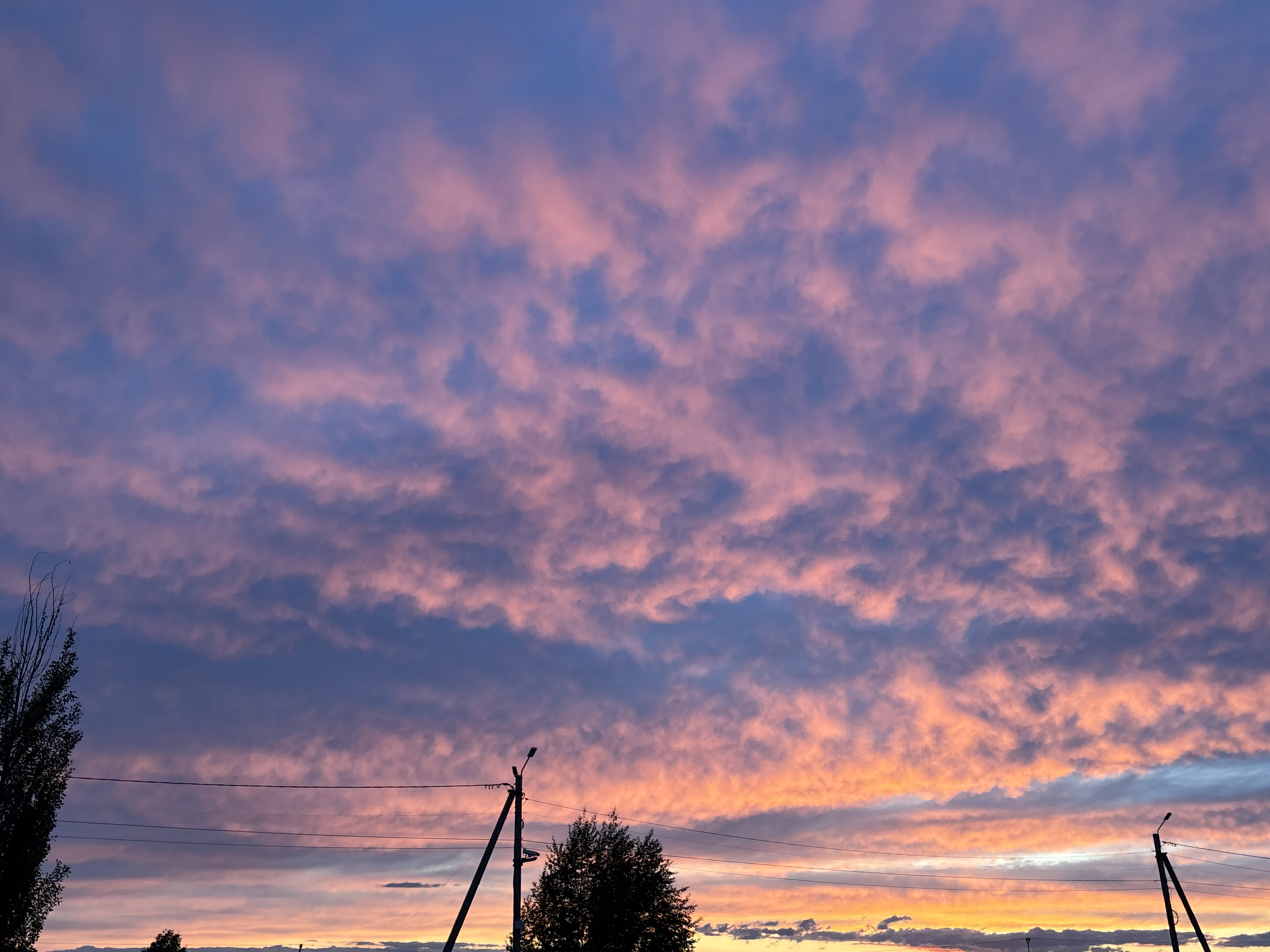 The image shows a dusk or dawn sky with layered clouds colored in shades of pink, purple, and orange. A few scattered trees and utility poles are visible along the horizon. The location is Unknown, Unknown.