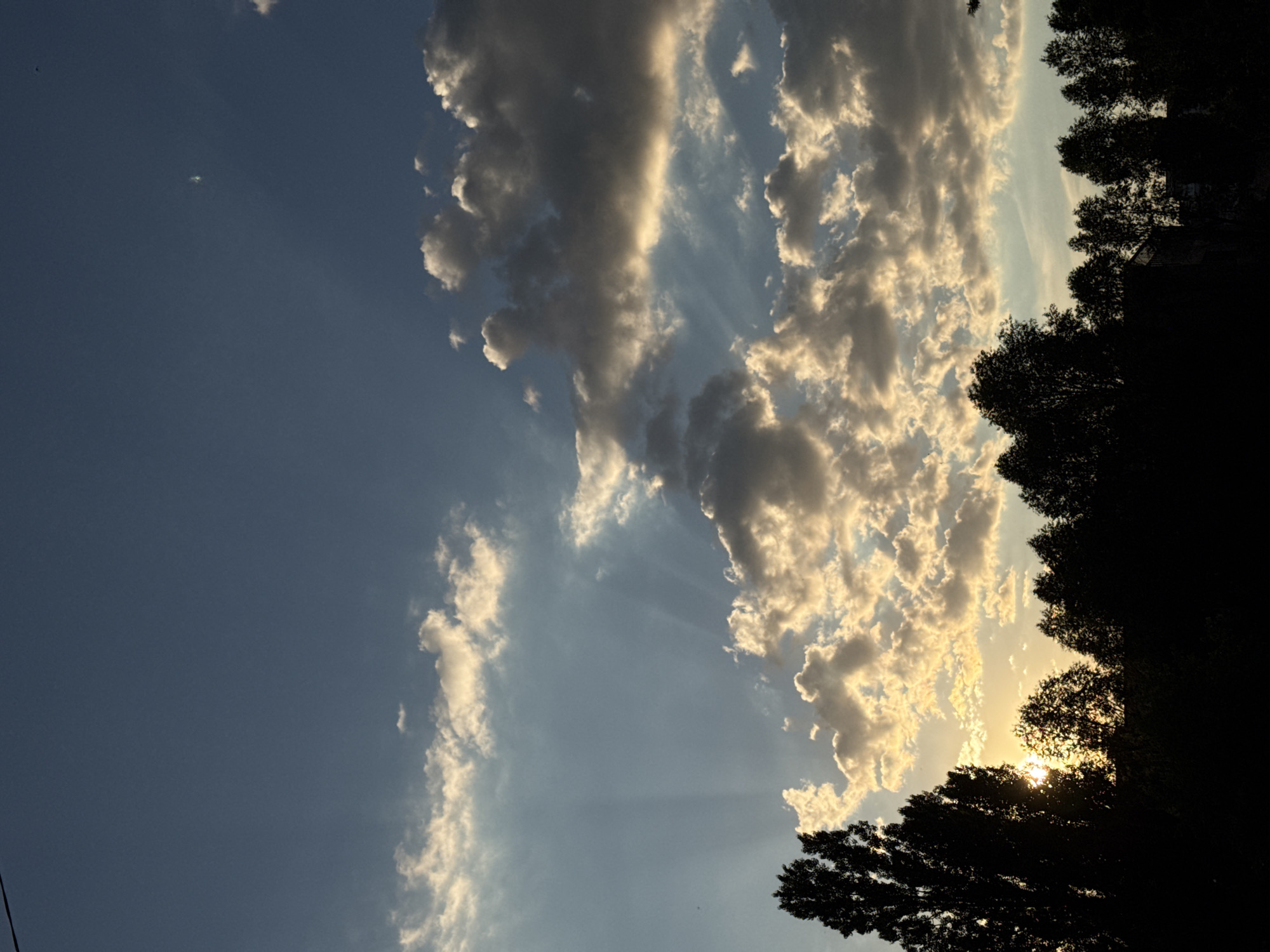 A photograph captures a dramatic sunset over a silhouetted treeline in an unknown urban setting. The sky is a deep blue at the top, transitioning to lighter shades of blue and yellow as it nears the horizon. Cumulus clouds are scattered across the sky, some dark and heavy, others illuminated by the setting sun. Rays of sunlight pierce through the clouds, creating a crepuscular effect. The foreground is dominated by the dark silhouettes of tall trees and other foliage, with the faintest hint of buildings nestled among the trees on the right side of the image. The sun itself is not directly visible but its presence is strongly implied by the bright glow behind the trees.