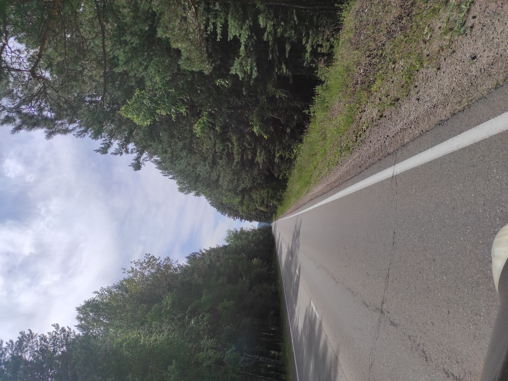 The image depicts a straight, paved road flanked by dense forests on both sides. The road has white lane markings, with a solid white line on the right edge and dashed white lines indicating lanes. The forest on the left appears to be a mix of deciduous and coniferous trees, while the forest on the right is predominantly coniferous. The sky is partly cloudy with patches of blue visible. The overall scene suggests a rural or natural environment, possibly a highway or a road leading through a wooded area. There are no people or vehicles visible in the image. The location is identified as Sosnovka, Russia.