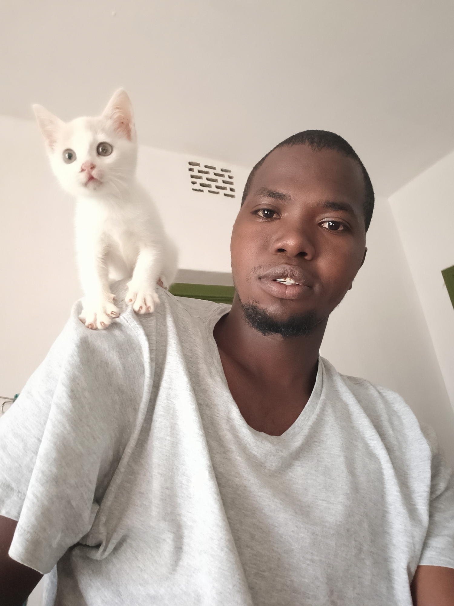 A man with dark skin and a trimmed beard is looking at the camera. A white kitten sits on his left shoulder. The man is wearing a light grey t-shirt. The background is a white wall with a rectangular vent. The location is inferred to be in Nairobi, Kenya, due to the man's features and the simple interior setting typical of residential areas in the city.