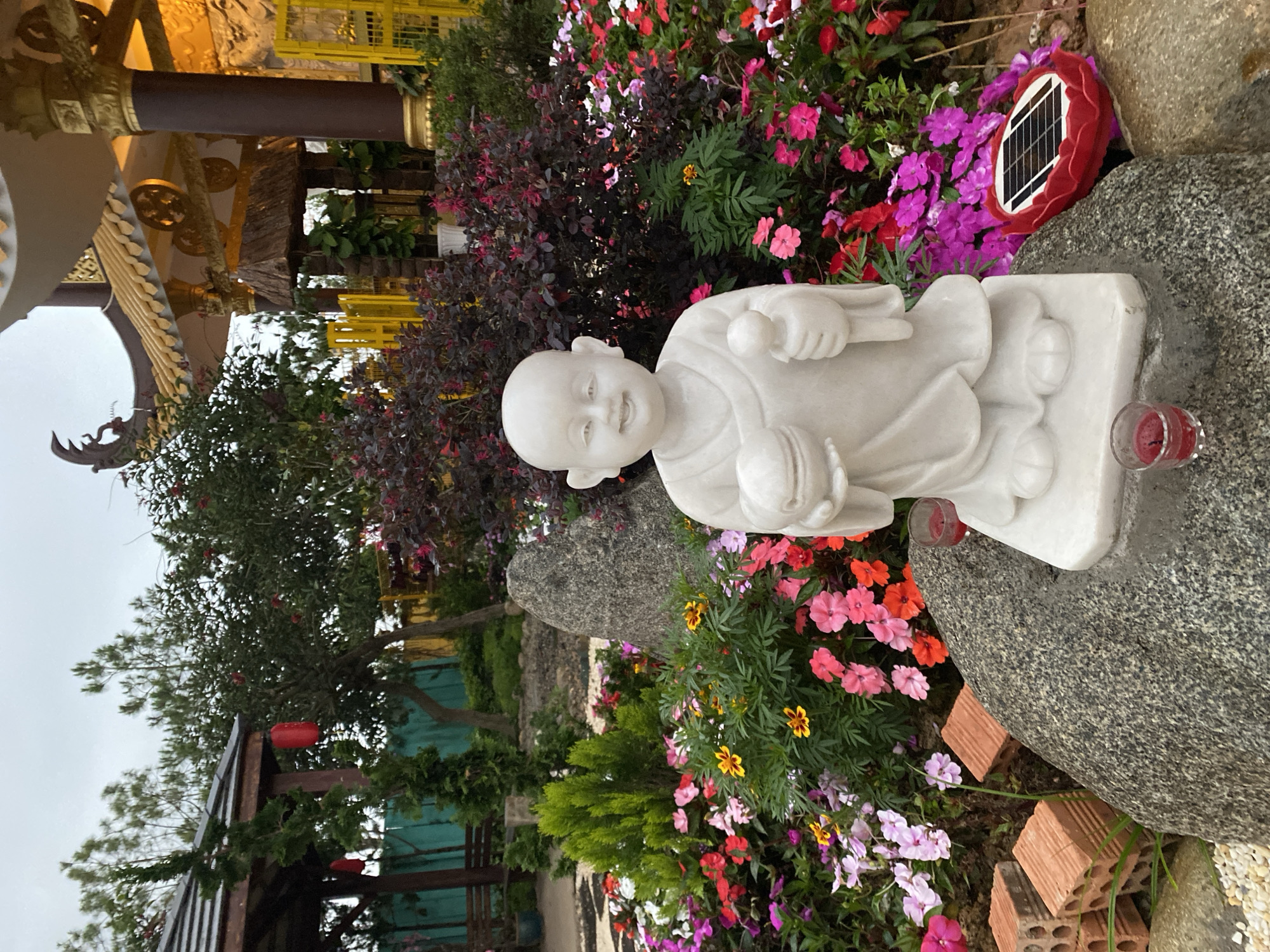The image depicts a serene garden setting, likely in the city of Da Lat, Vietnam, known for its beautiful landscapes. In the foreground, a white marble statue of a smiling child monk is positioned atop a large, gray rock. The statue holds a small object, perhaps a bowl or ball, in its hands.
The scene is lush with vibrant flowers in shades of pink, red, purple, and yellow, growing abundantly around the rocks and statue. Behind the statue, a variety of foliage is visible, including a bush with dark red leaves.
In the background, glimpses of a golden structure with ornate designs can be seen, potentially part of a temple or pagoda. To the side of the statue, a small solar panel in a red frame is placed among the flowers. A small red candle sits to the side of the statue. The ground is a mix of soil, flowers, and bricks. The sky is overcast.