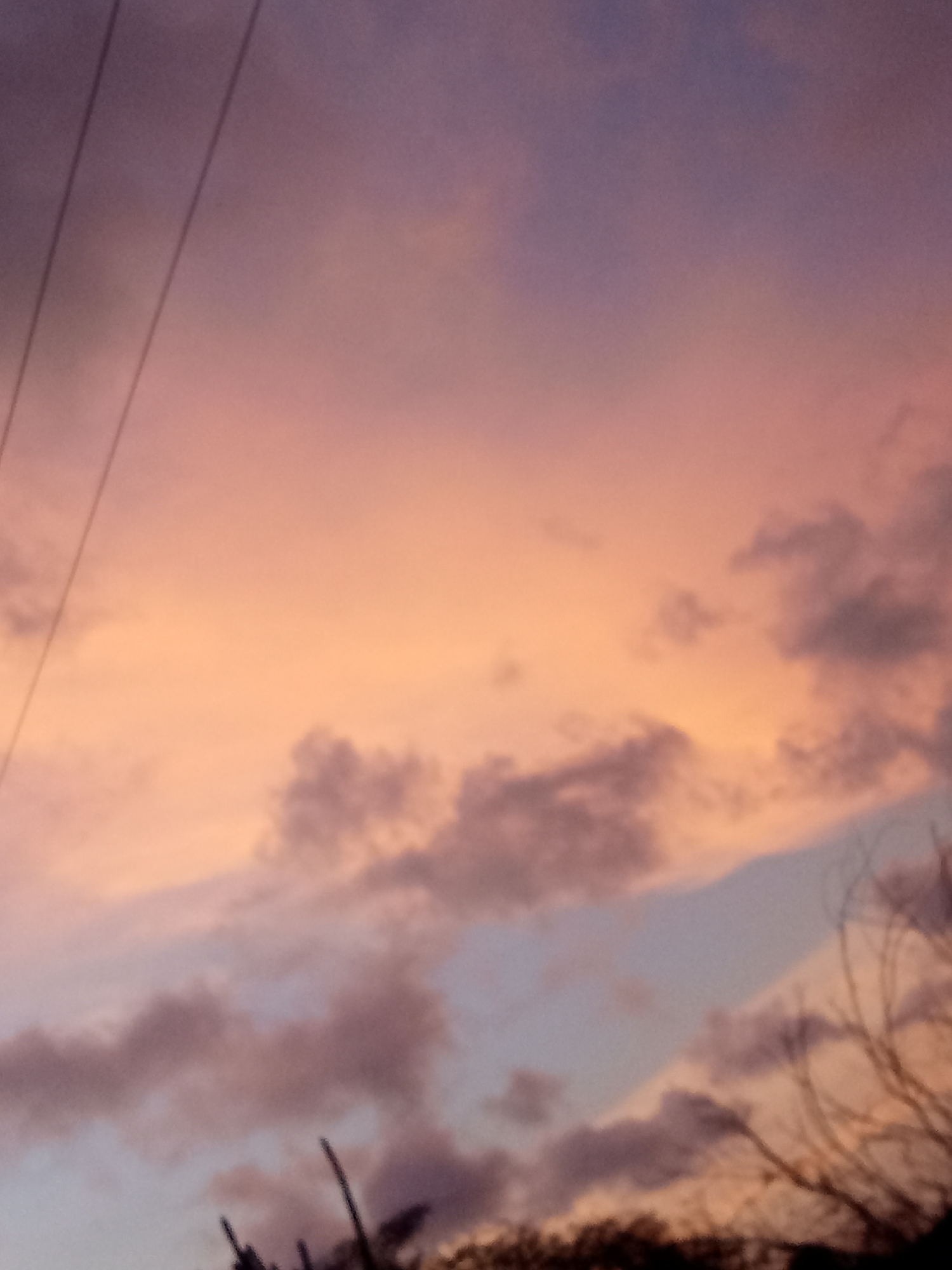The image depicts a sunset sky over Juan Griego, Venezuela. The sky is a blend of orange, pink, and purple hues, with scattered clouds. Bare branches and silhouettes of vegetation are visible along the bottom of the frame. Electrical wires are seen in the top left corner of the image. The overall scene conveys a calm, natural setting.