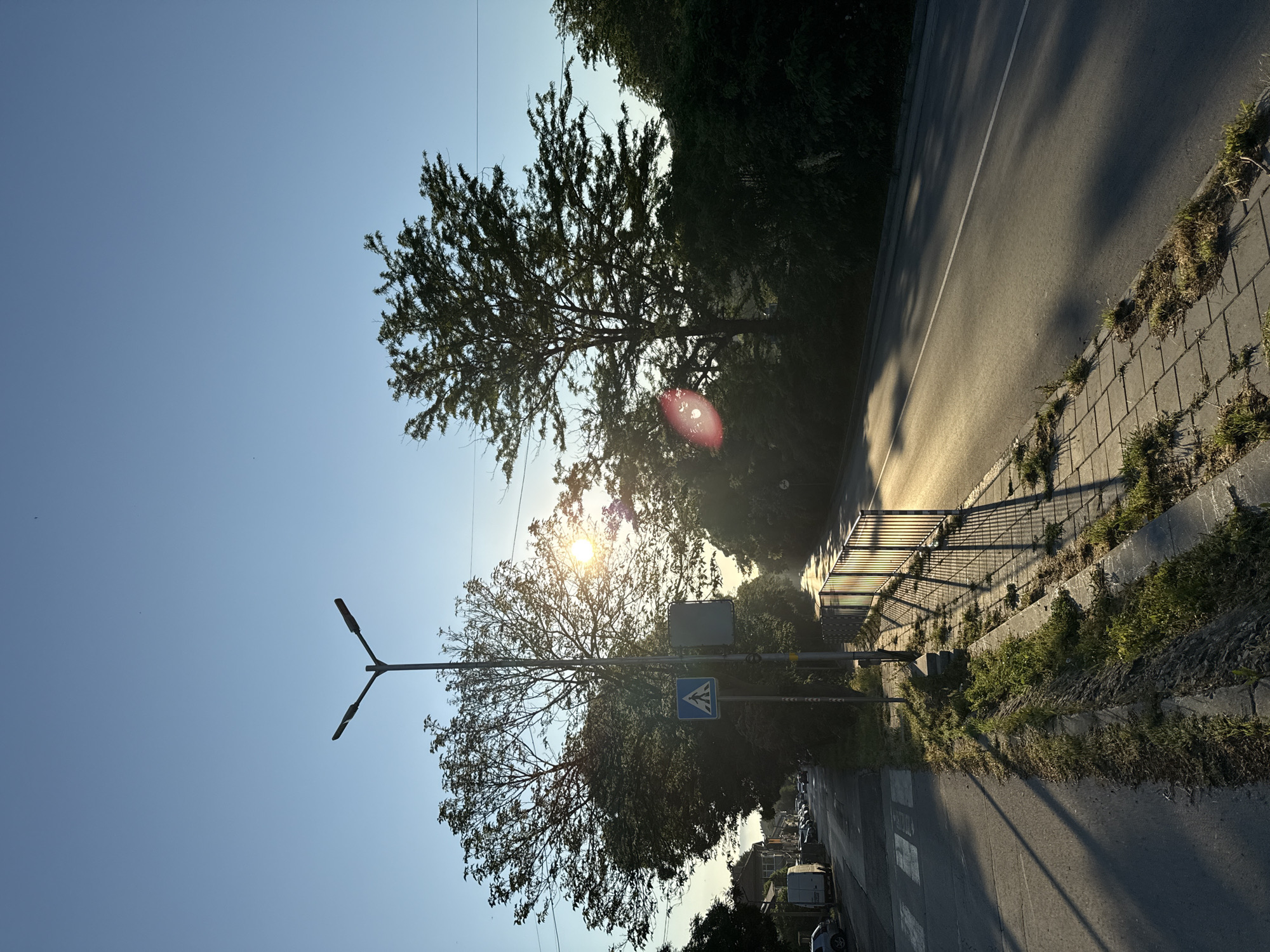 The image captures a street scene at golden hour in an urban environment. A paved road with a white lane marker runs from the foreground towards the distance, bathed in the warm, low-angled sunlight. The sun itself is visible, partially obscured by the trees, casting a bright lens flare and long shadows across the asphalt.
On the left side of the road, a sidewalk with cobblestone paving is visible, bordered by a strip of grass and a concrete drainage channel. A pedestrian crossing is marked on the road, with a street lamp and two signs situated on the sidewalk. One sign is a blue square with a white pedestrian symbol, and the other is a plain blue rectangle. Beyond the sidewalk, a line of parked vehicles and buildings are visible, suggesting a residential or commercial area.
On the right side of the road, a metal fence runs along the edge of the pavement. Tall trees with dense foliage line the opposite side of the road, creating a natural boundary and casting more shadows. The sky above is clear and blue, with a hint of haze due to the low sun. The overall atmosphere is serene and peaceful, characteristic of a late afternoon or early evening in a city.