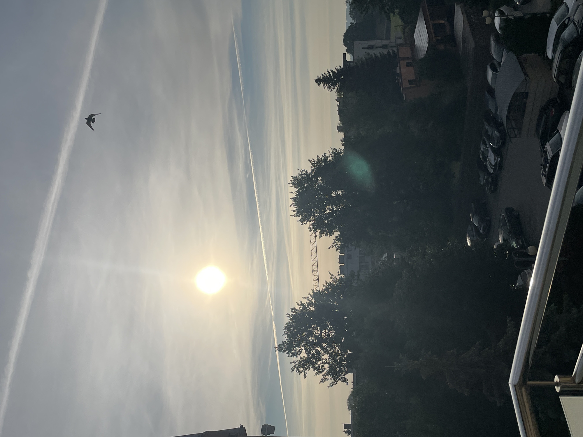 The image shows a view from a balcony, overlooking a residential area with trees and a parking lot. The sun is visible in the sky, casting a bright light and creating lens flare. A bird is in flight in the upper portion of the frame, with contrails visible in the sky. The foreground features a balcony railing. In the middle ground, dense trees obscure much of the view of buildings and a construction crane. The background shows buildings and more trees. The parking lot in the lower right contains several cars. The scene appears to be an outdoor urban or suburban environment.