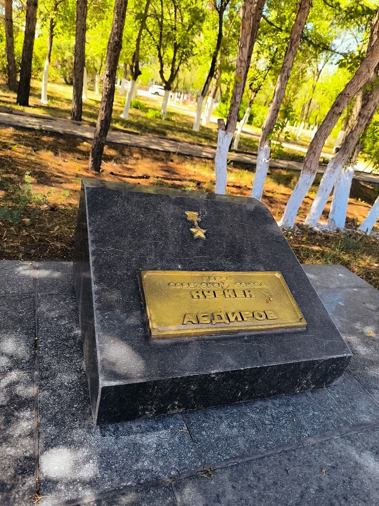 The image depicts a monument in a park-like setting. The monument is made of dark granite and features a gold plaque with Cyrillic text. Above the plaque, a gold star medal is affixed to the granite. The background consists of trees with light-colored trunks, some of which are painted white at the base. The ground is covered with dry leaves and dirt. In the distance, a paved walkway and a white car are visible. The overall impression is a memorial located in an outdoor public space.